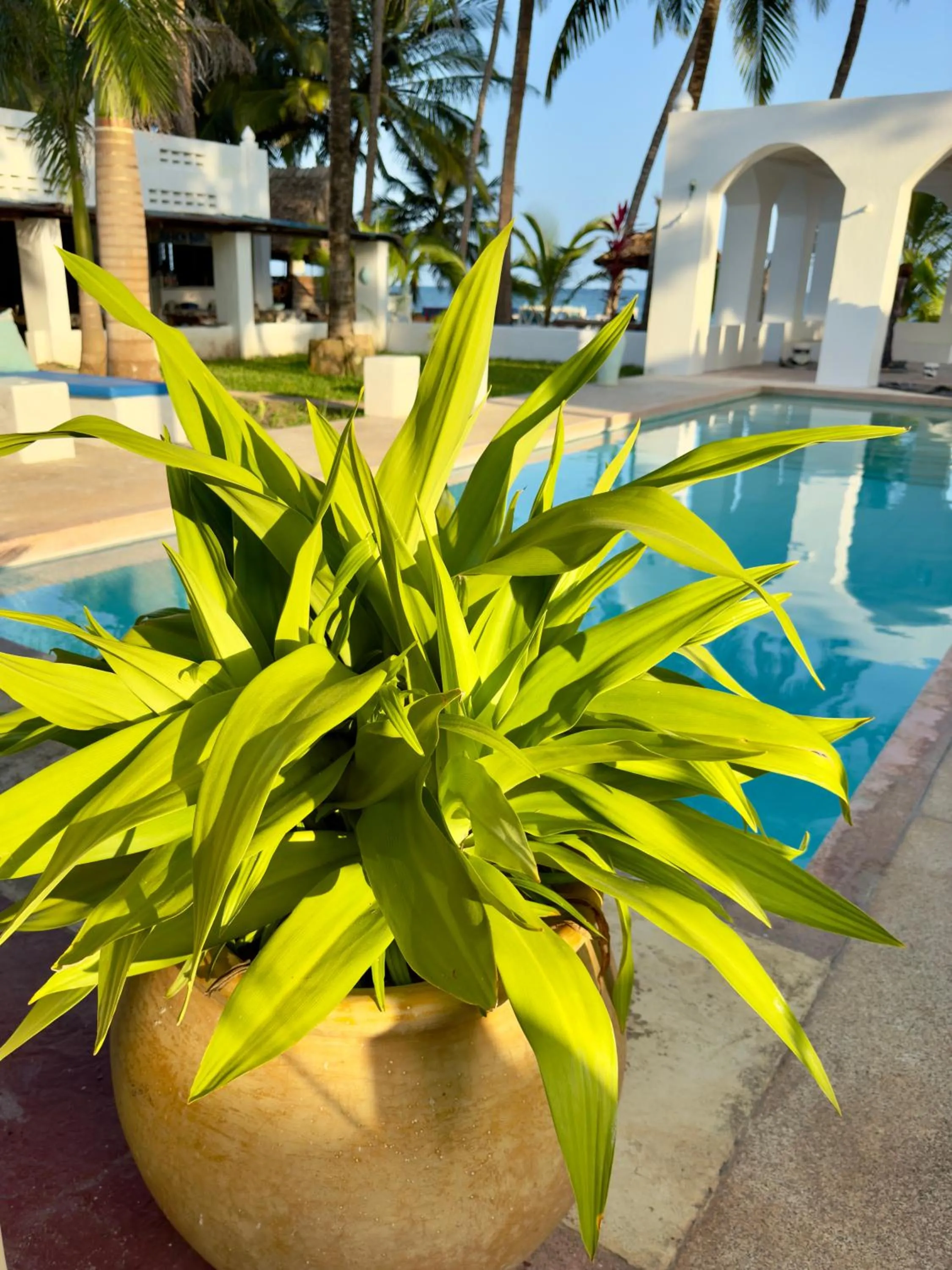 Pool view in Sawa Sawa Beach House