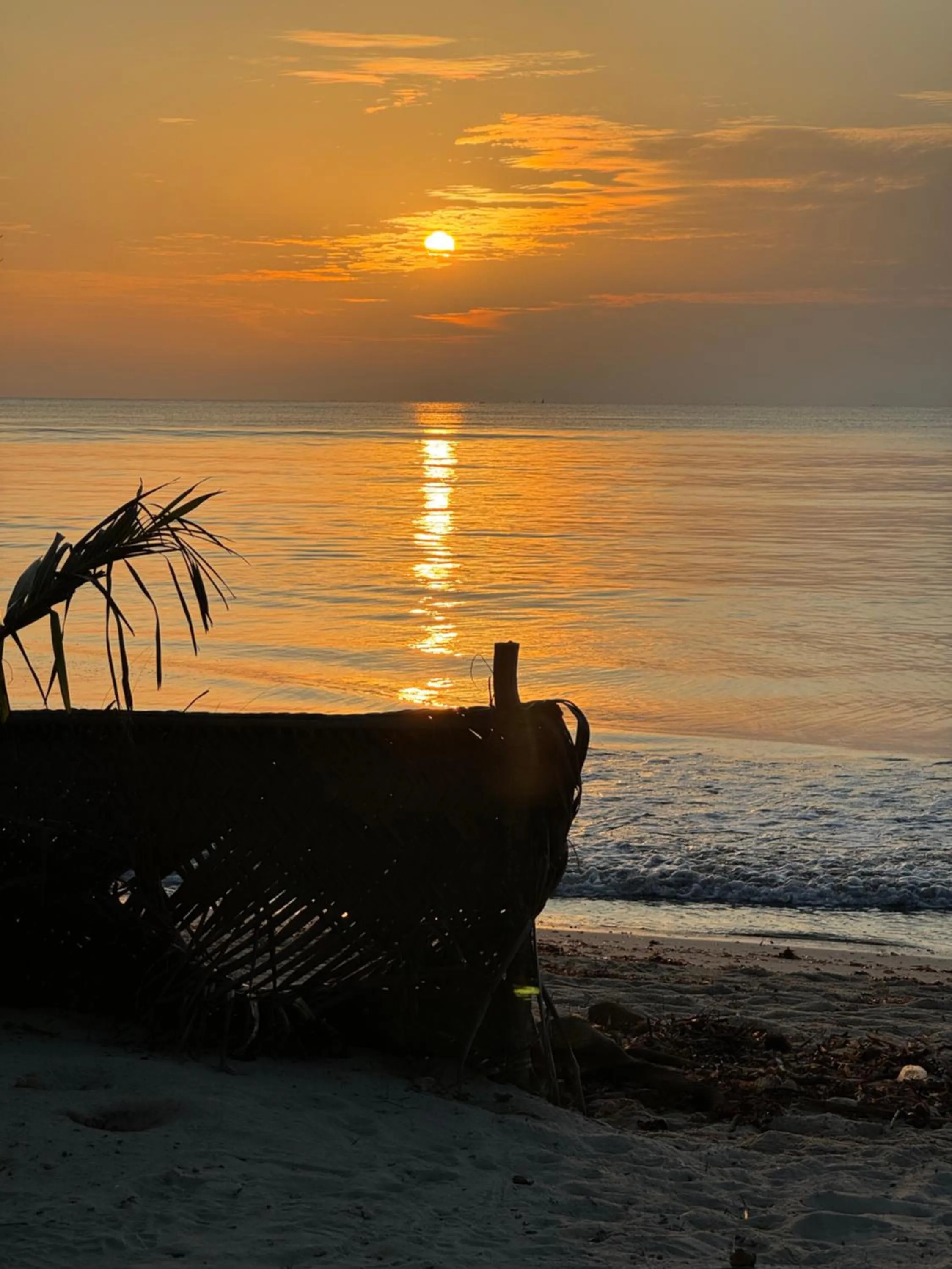 Natural landscape in Sawa Sawa Beach House