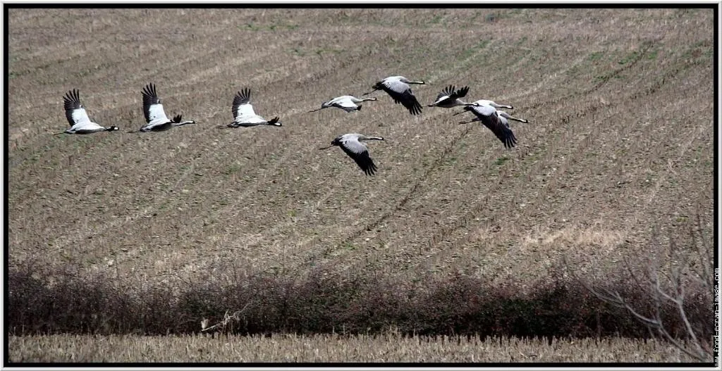 Nearby landmark in Chambres d'hôtes Le Gilliard