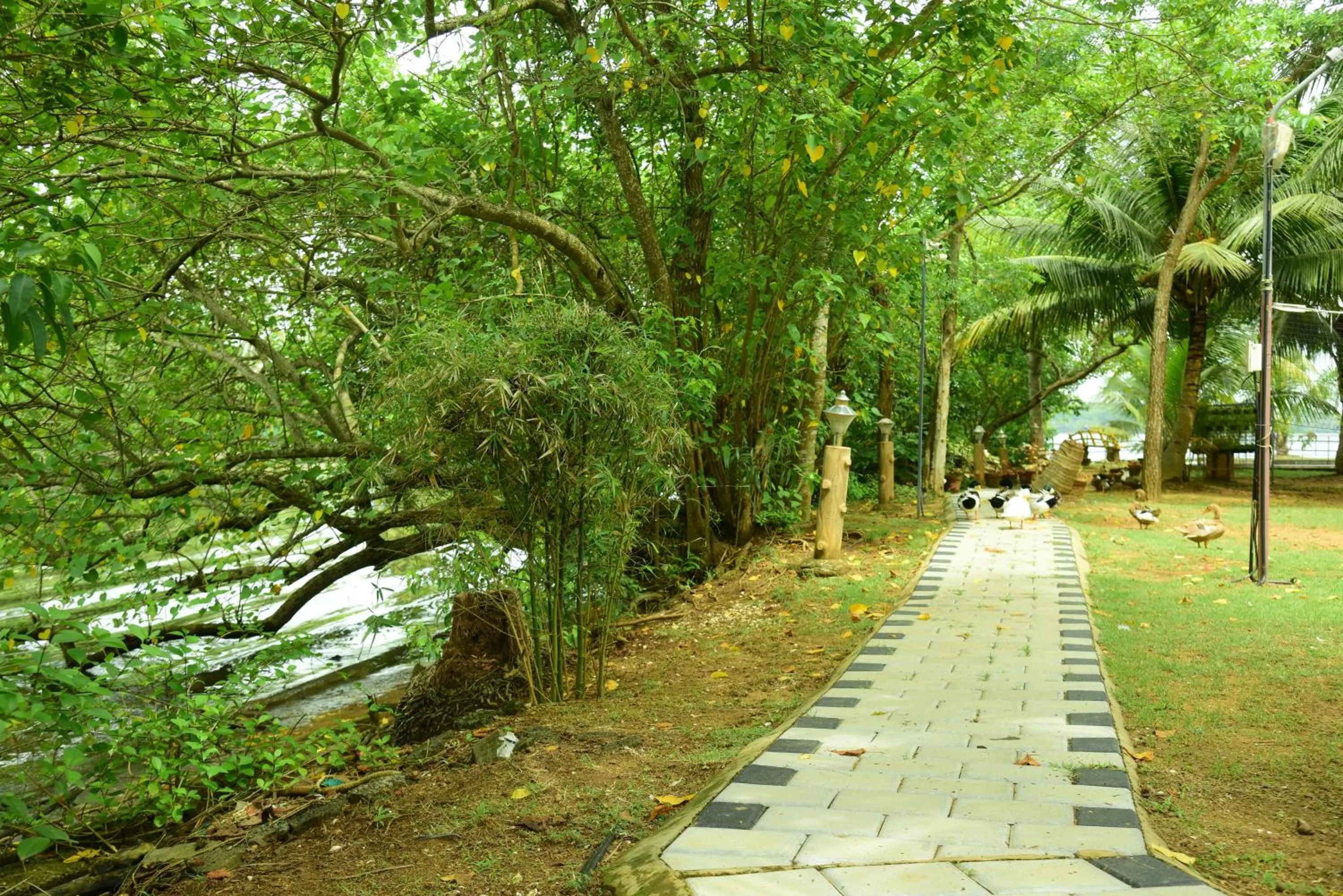 Lake N River Resort Munroe Island