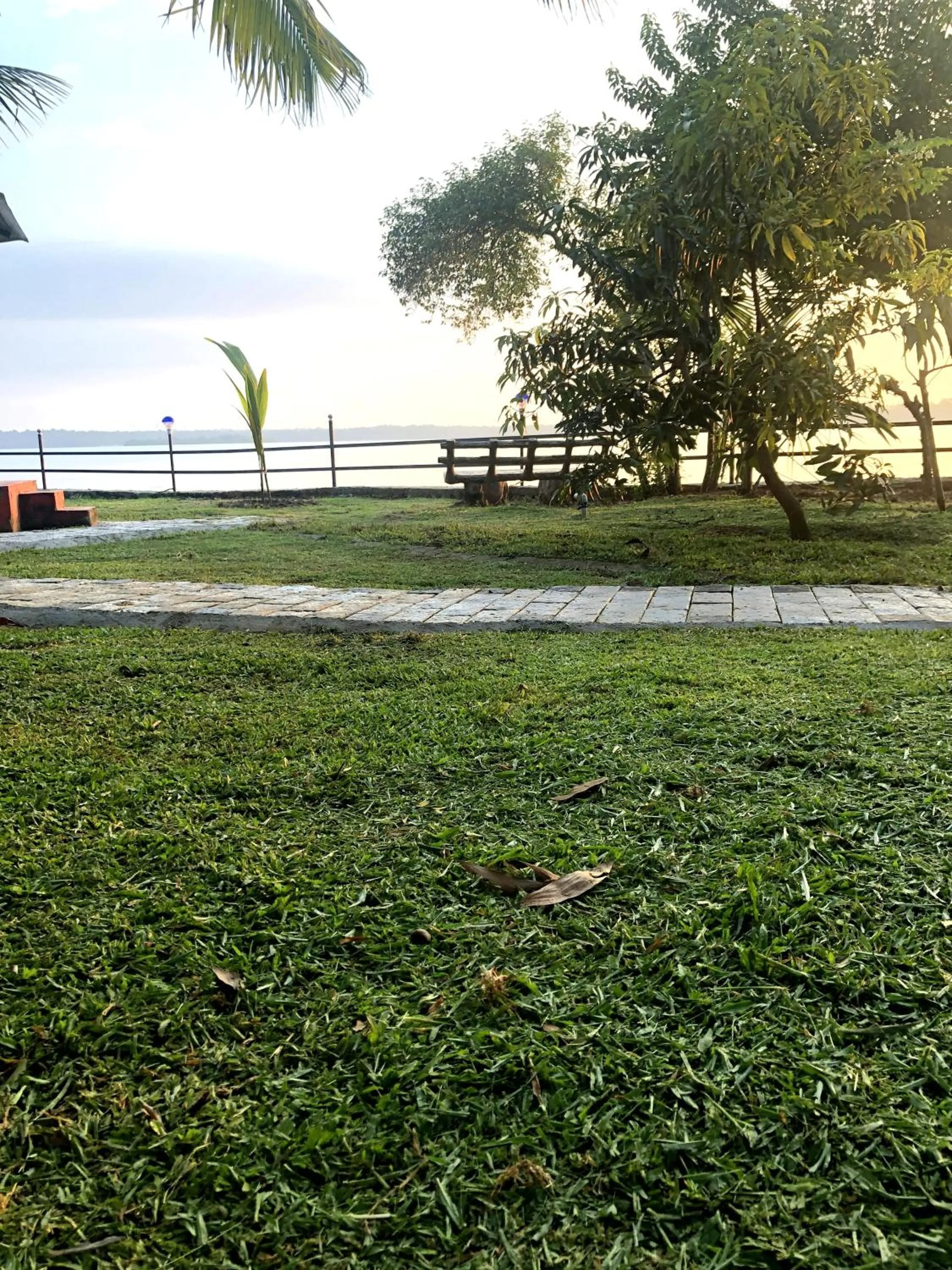 Natural landscape in Lake N River Resort Munroe Island