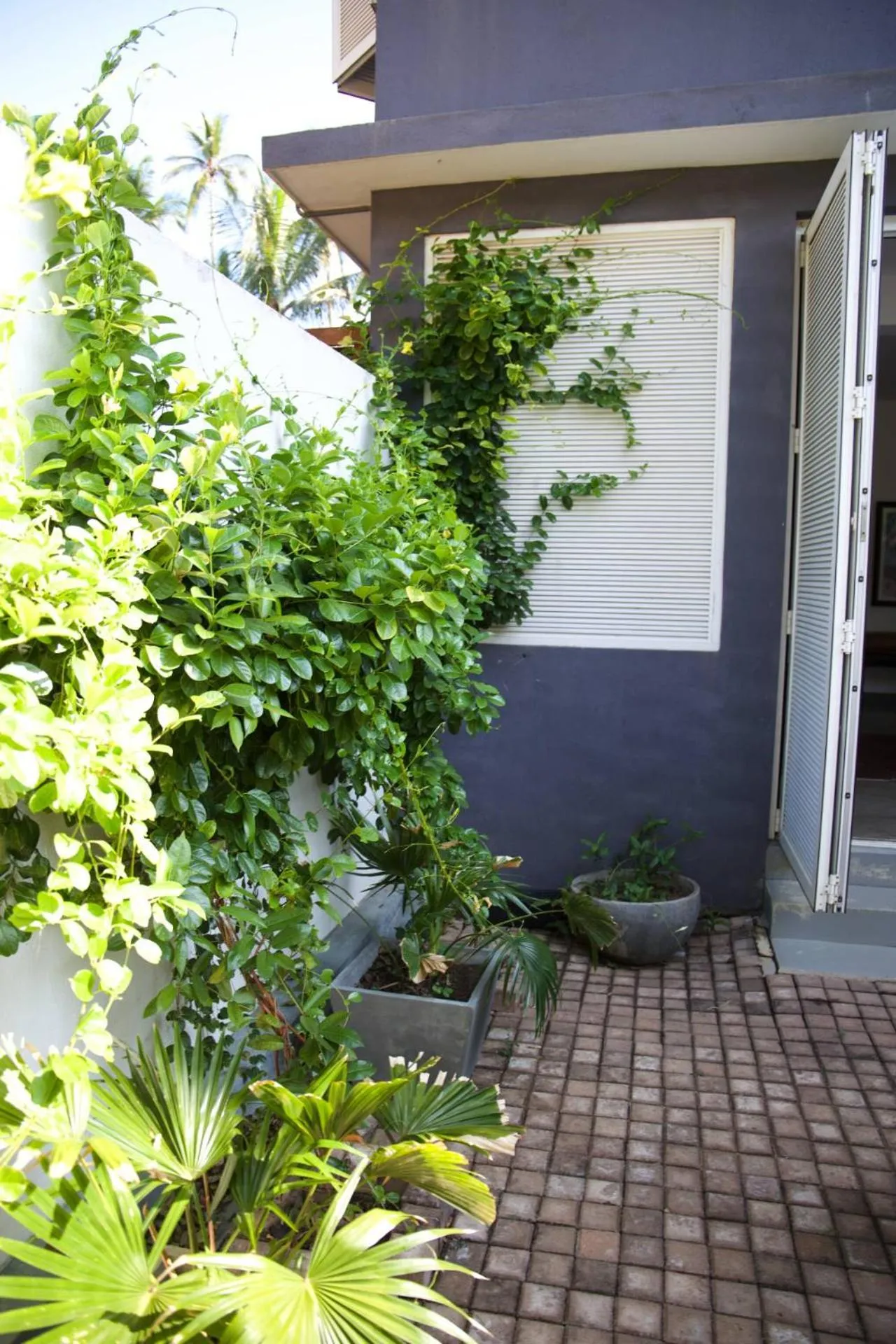 Balcony/Terrace in Jasper House