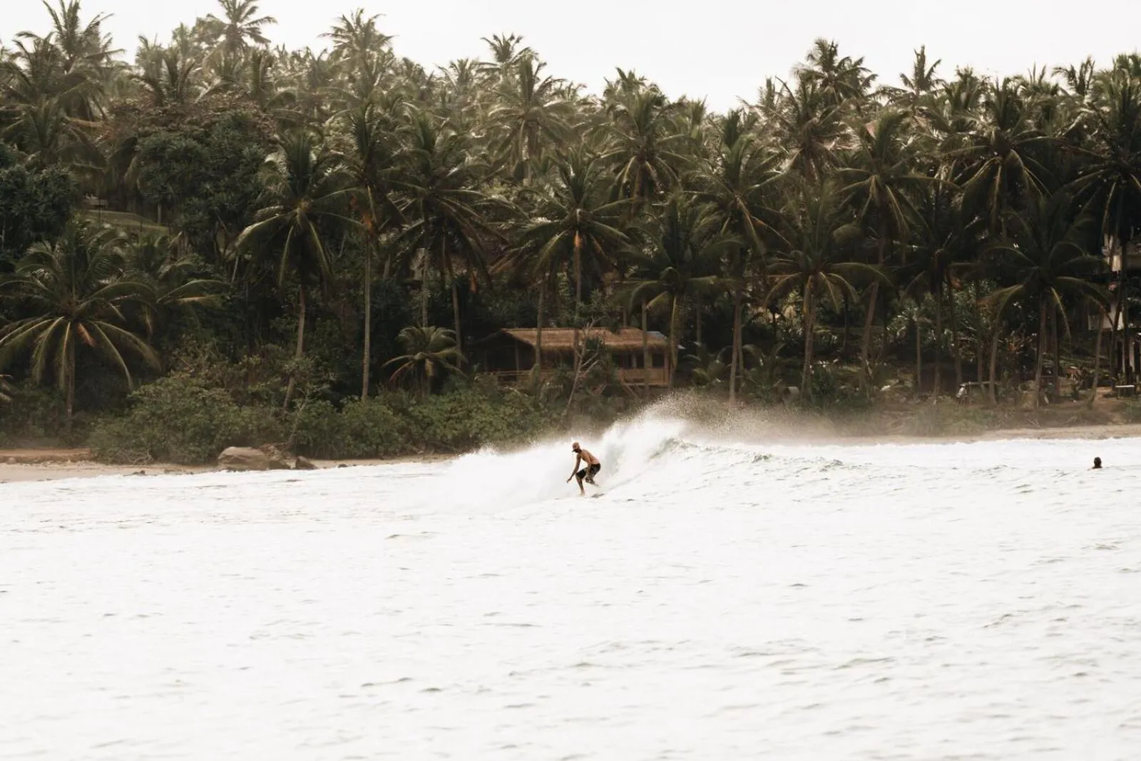 Activities in Jasper House