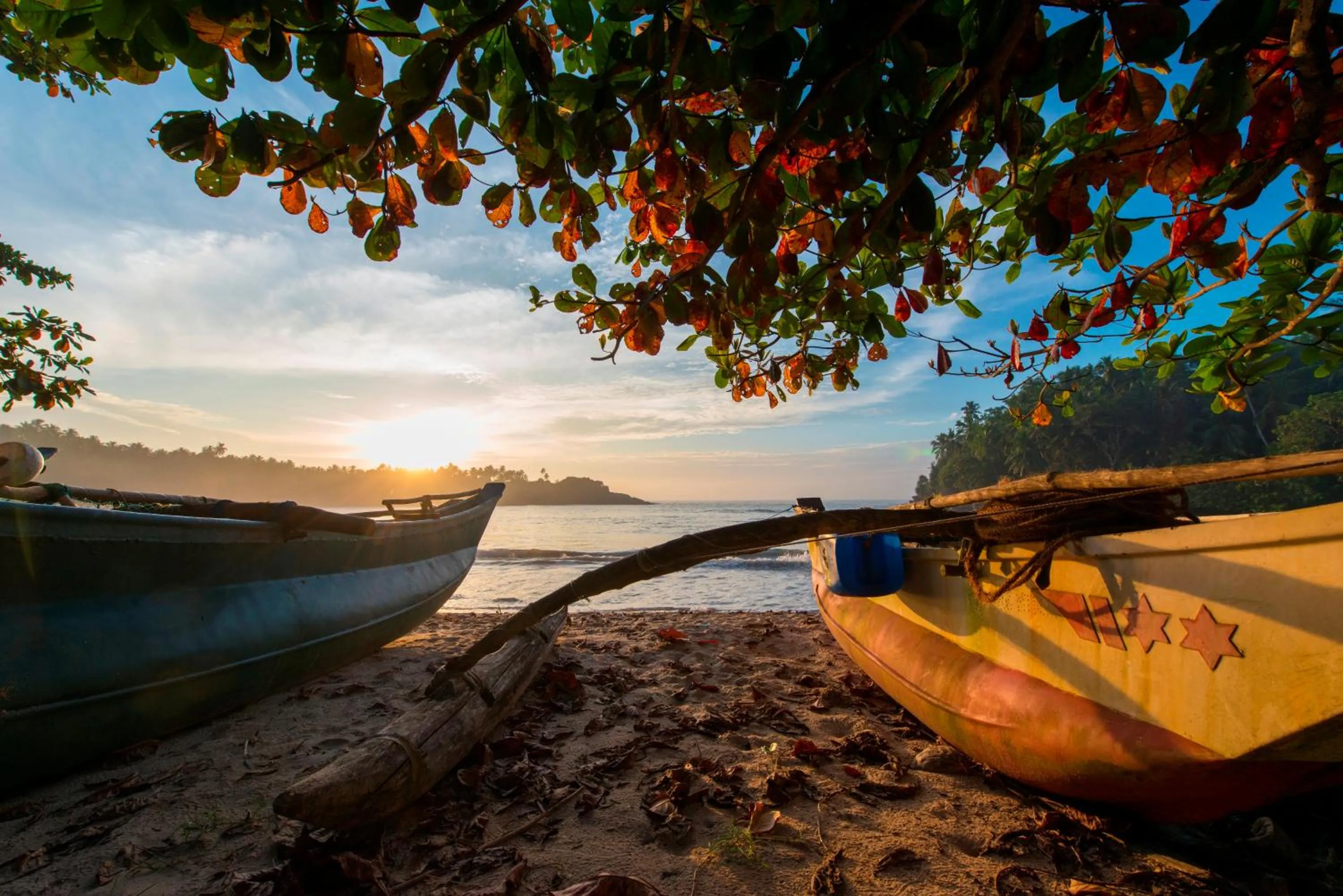 Beach in Jasper House
