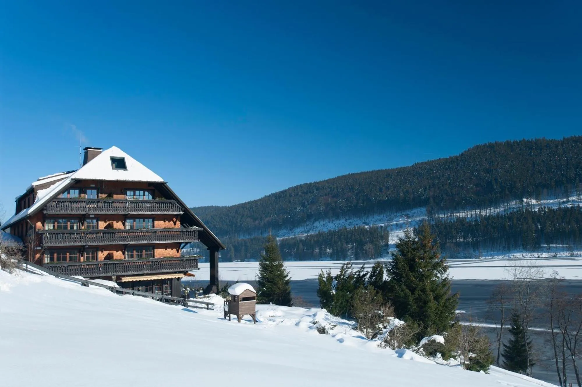 Property building in Alemannenhof - Boutique Hotel am Titisee