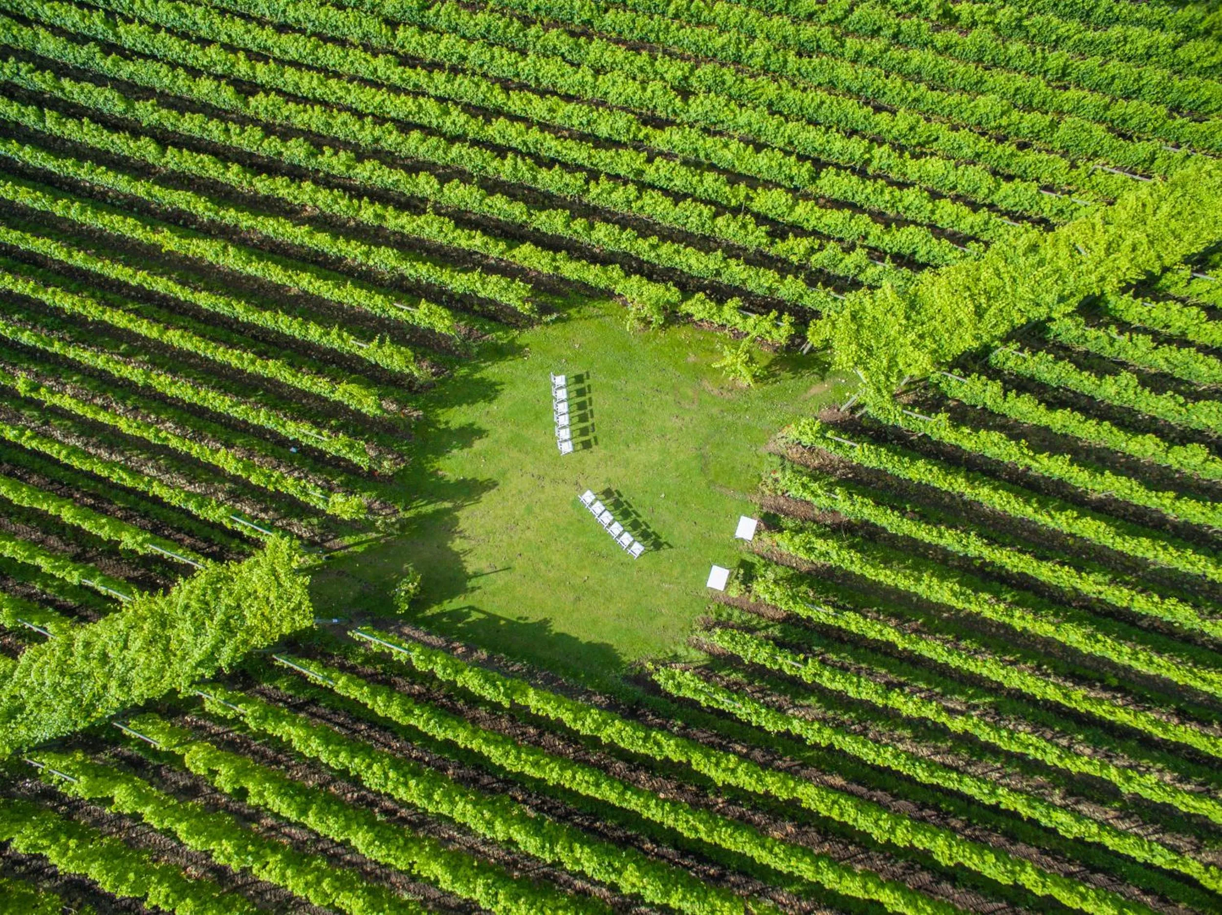 Flädie Mat & Vingård