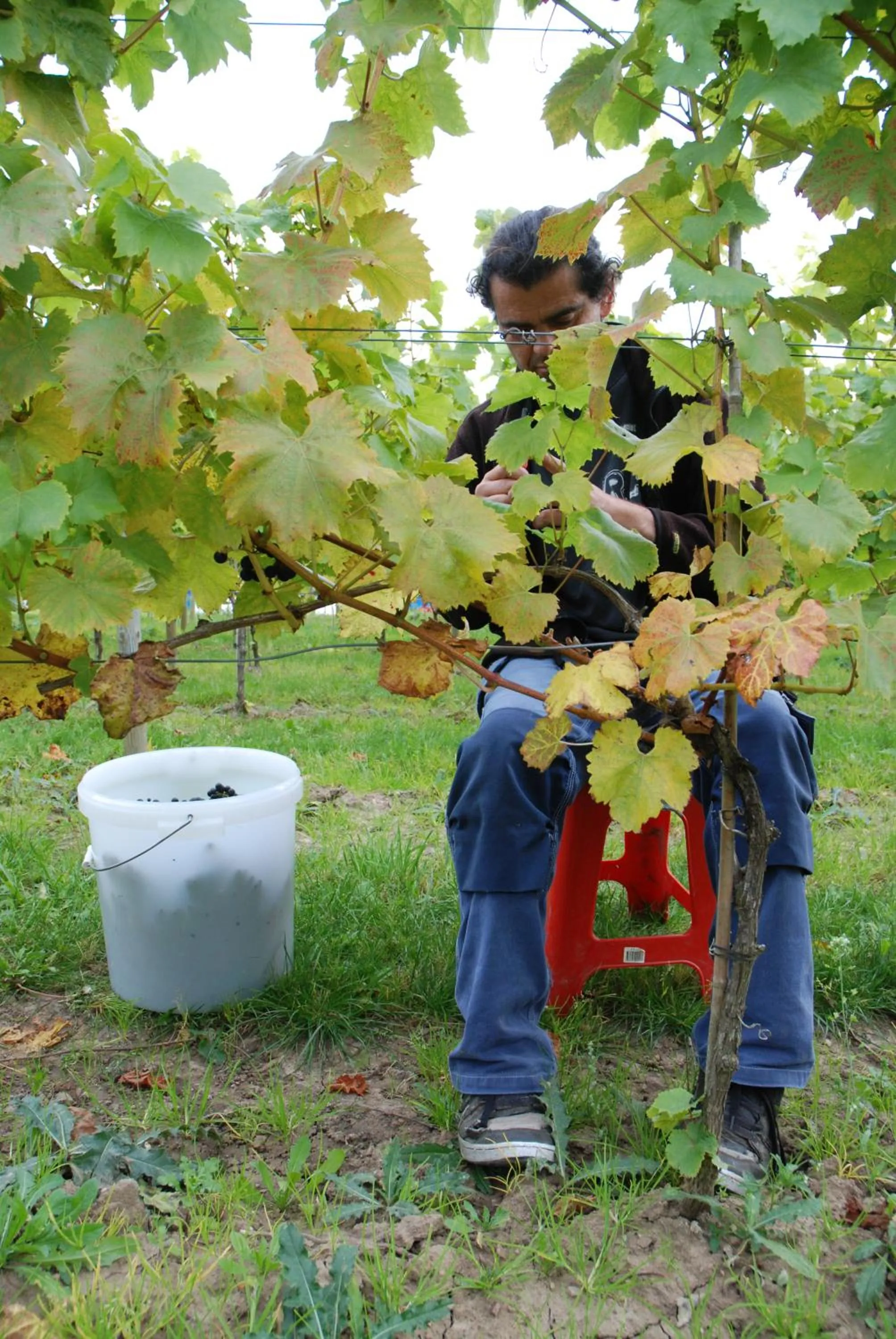 Business facilities in Flädie Mat & Vingård