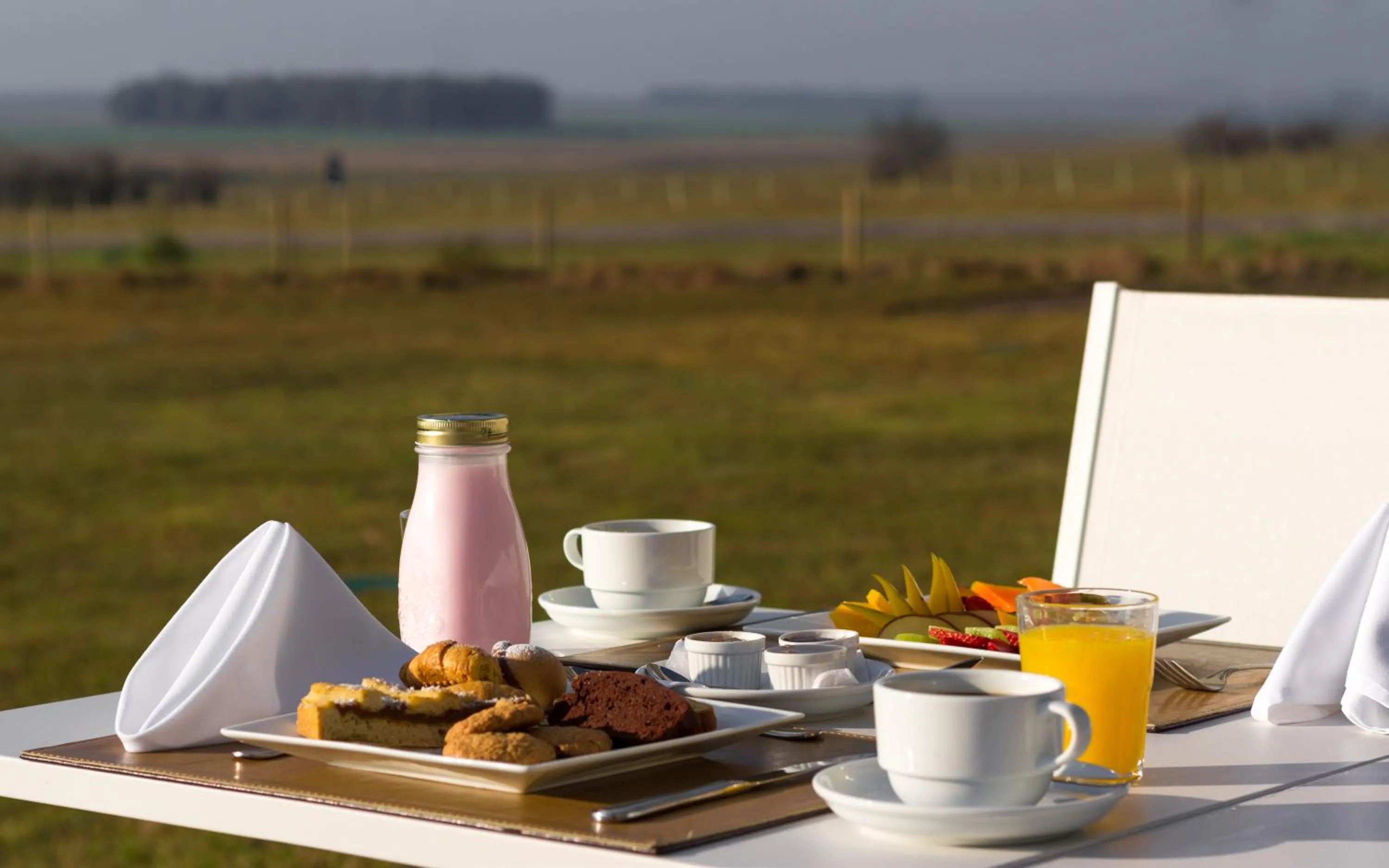 Buffet breakfast in Salinas del Almiron Resort Termal