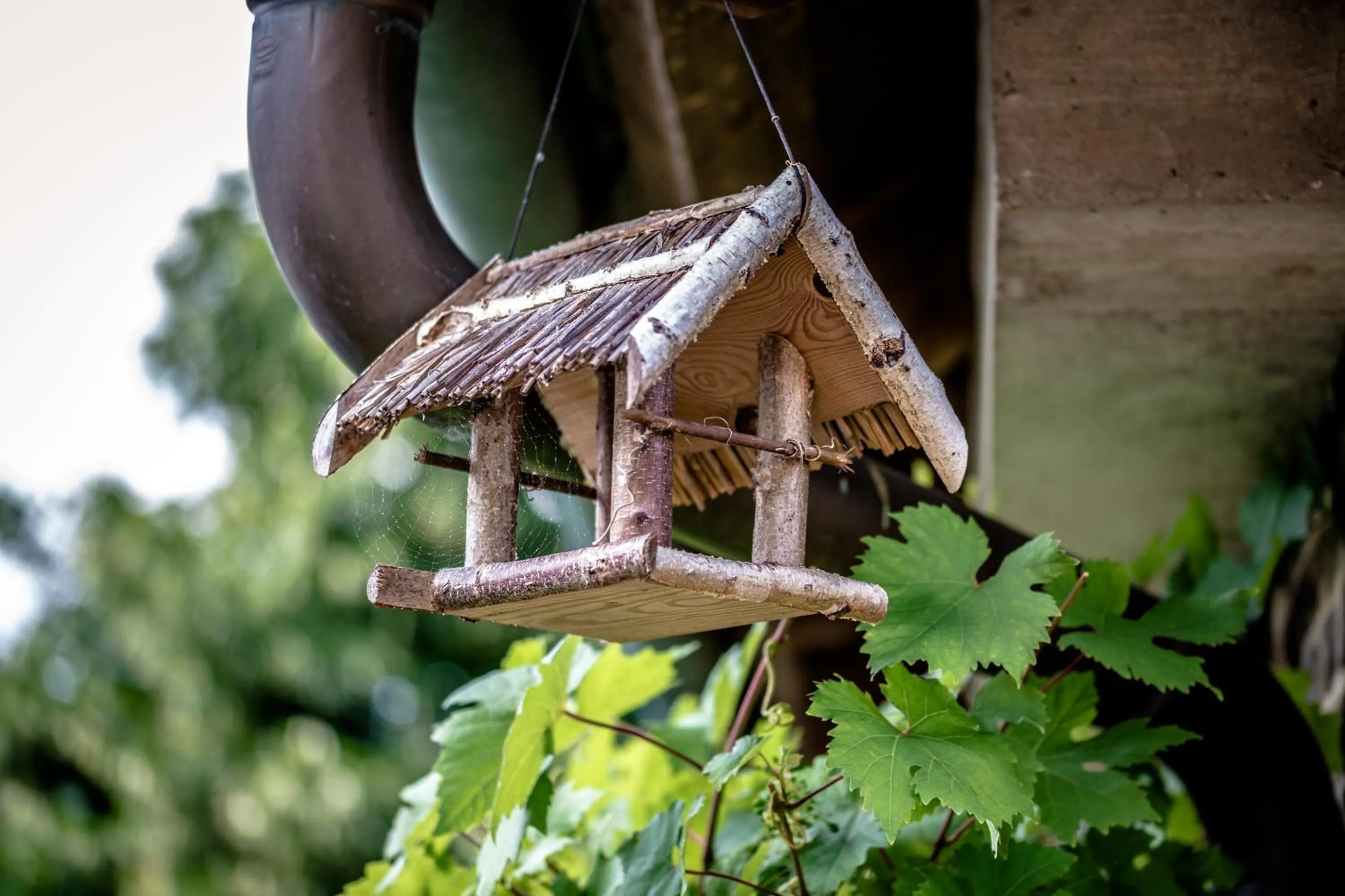 Other in Fritz Aparthotel Potsdam