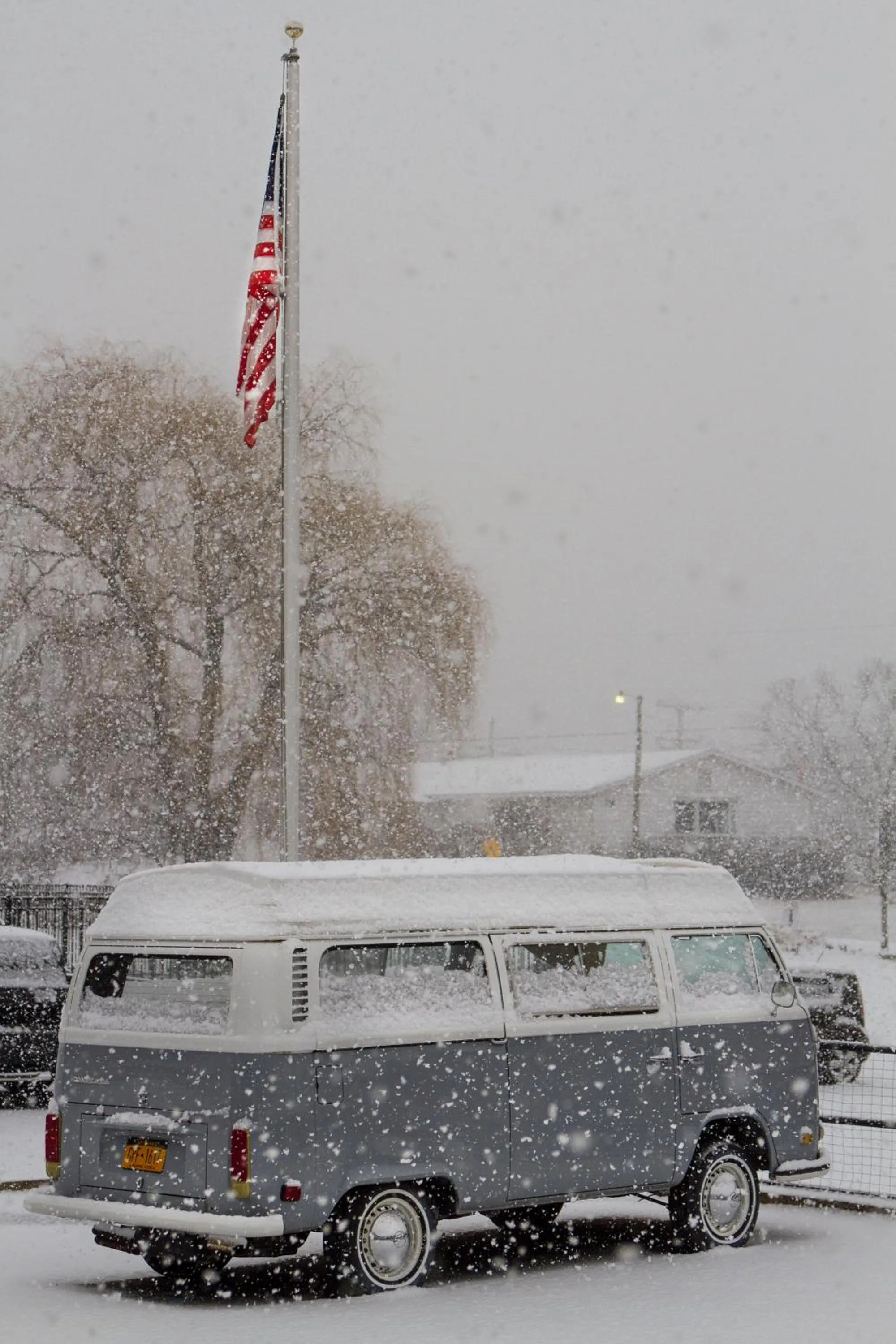 Garden in Hotel Dylan