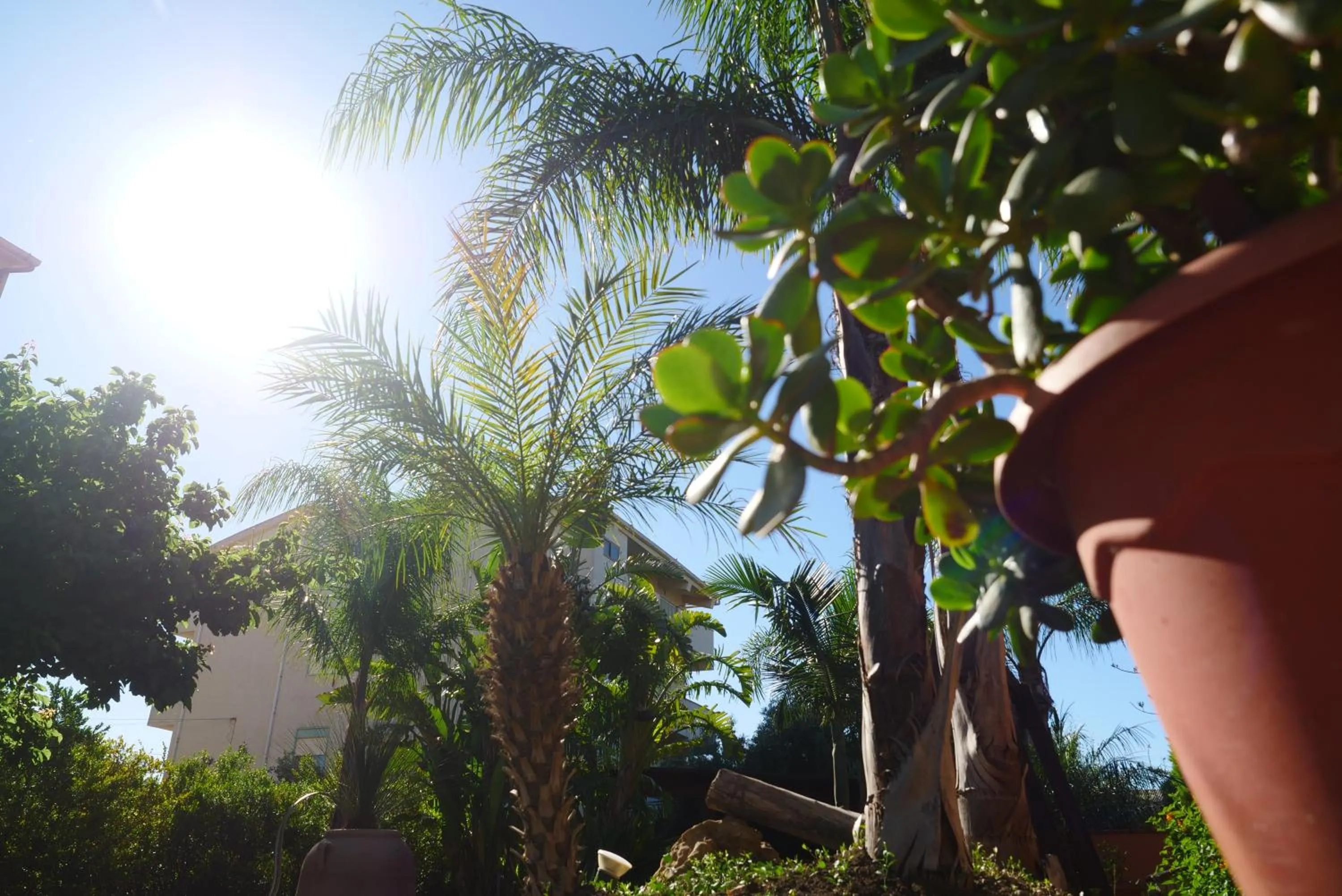 Garden in B&B Templi e Arte