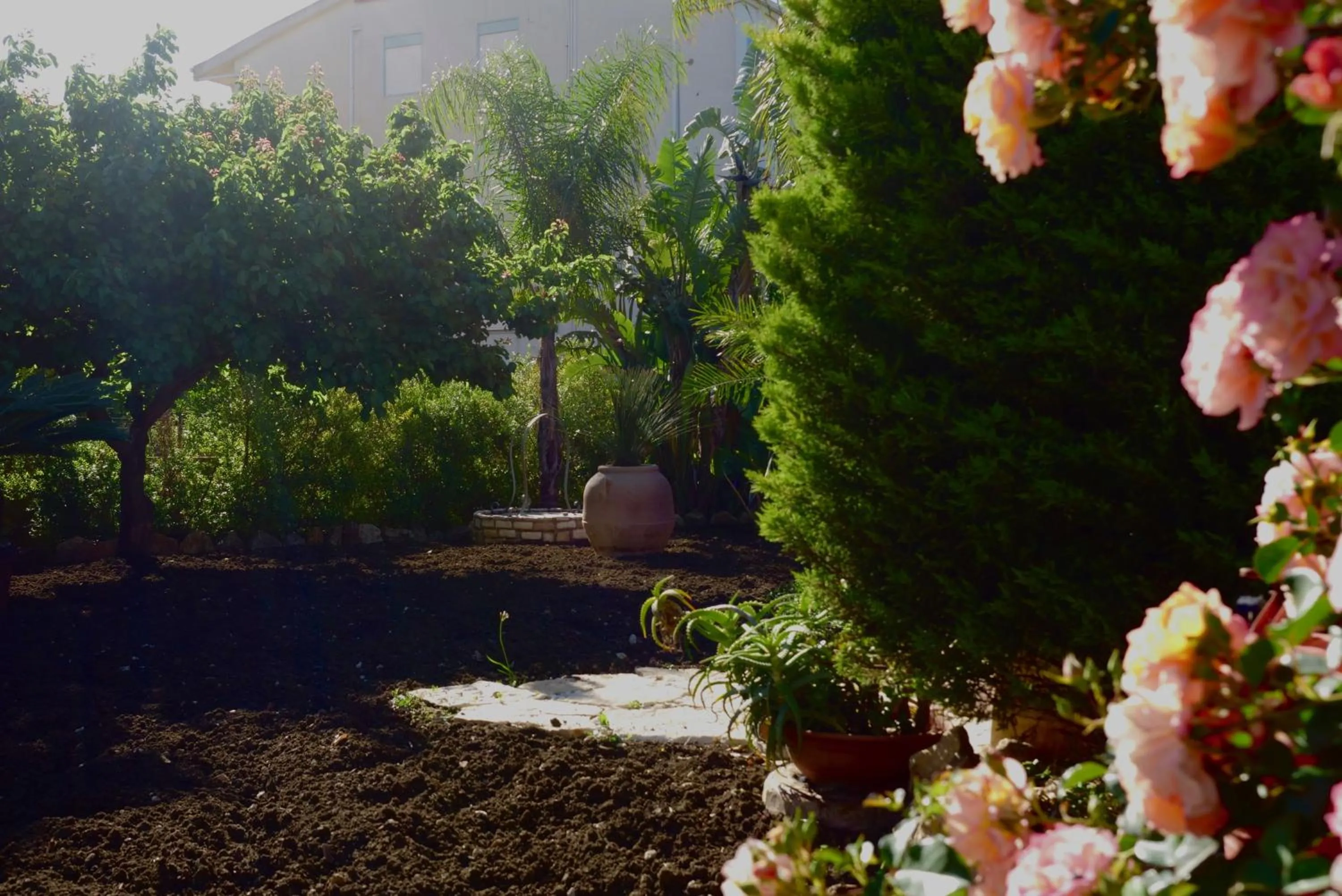 Garden in B&B Templi e Arte