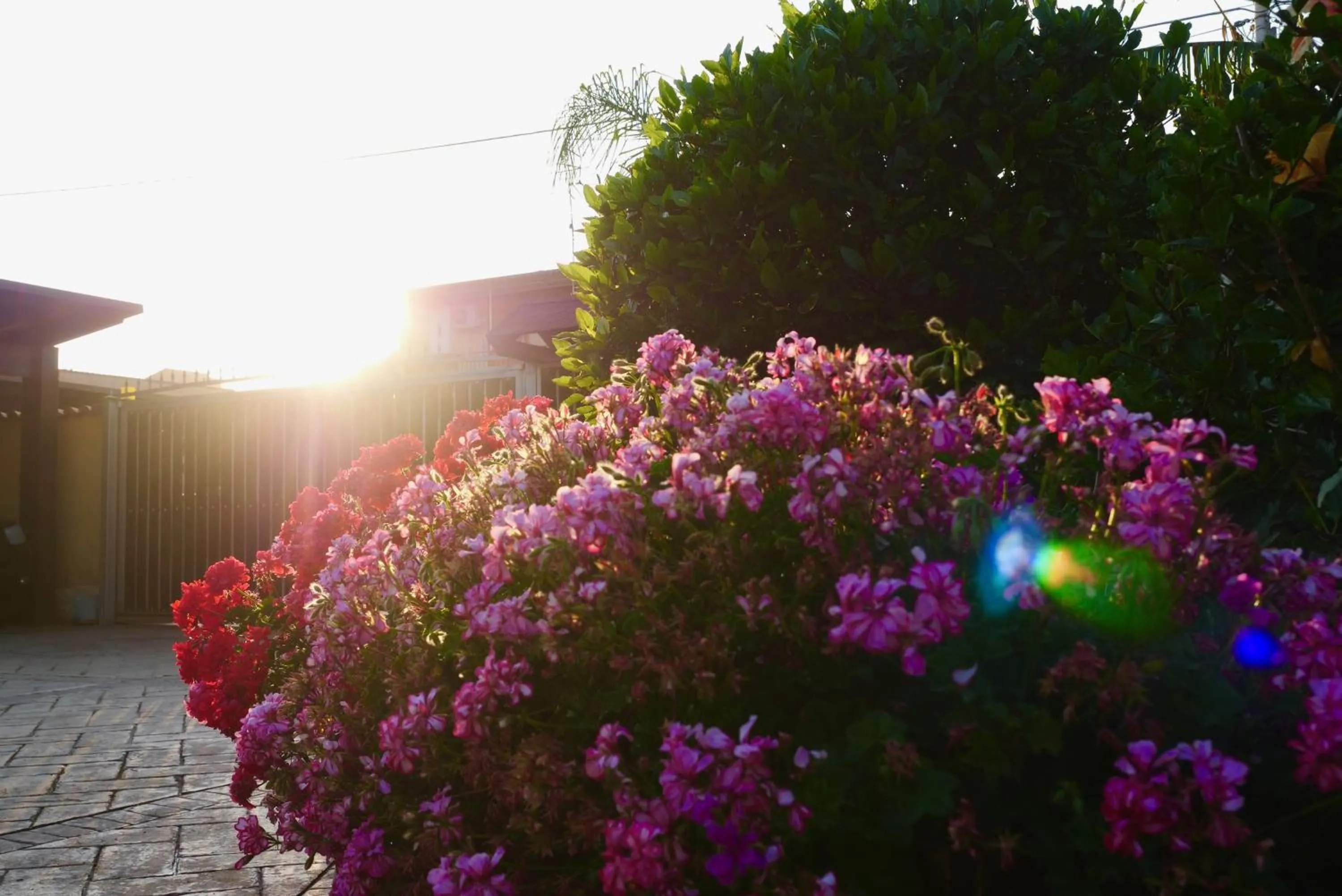 Garden in B&B Templi e Arte