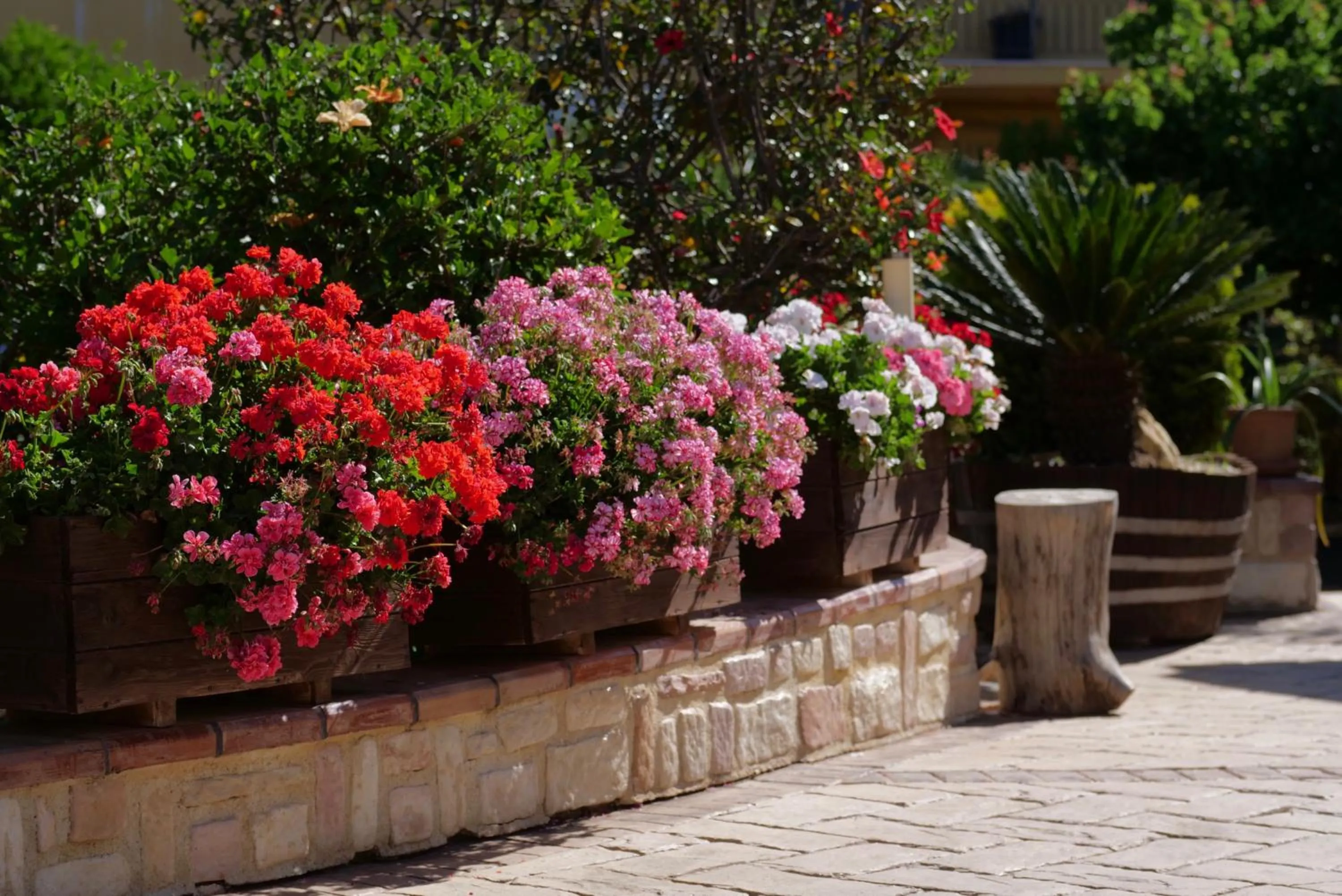 Garden in B&B Templi e Arte