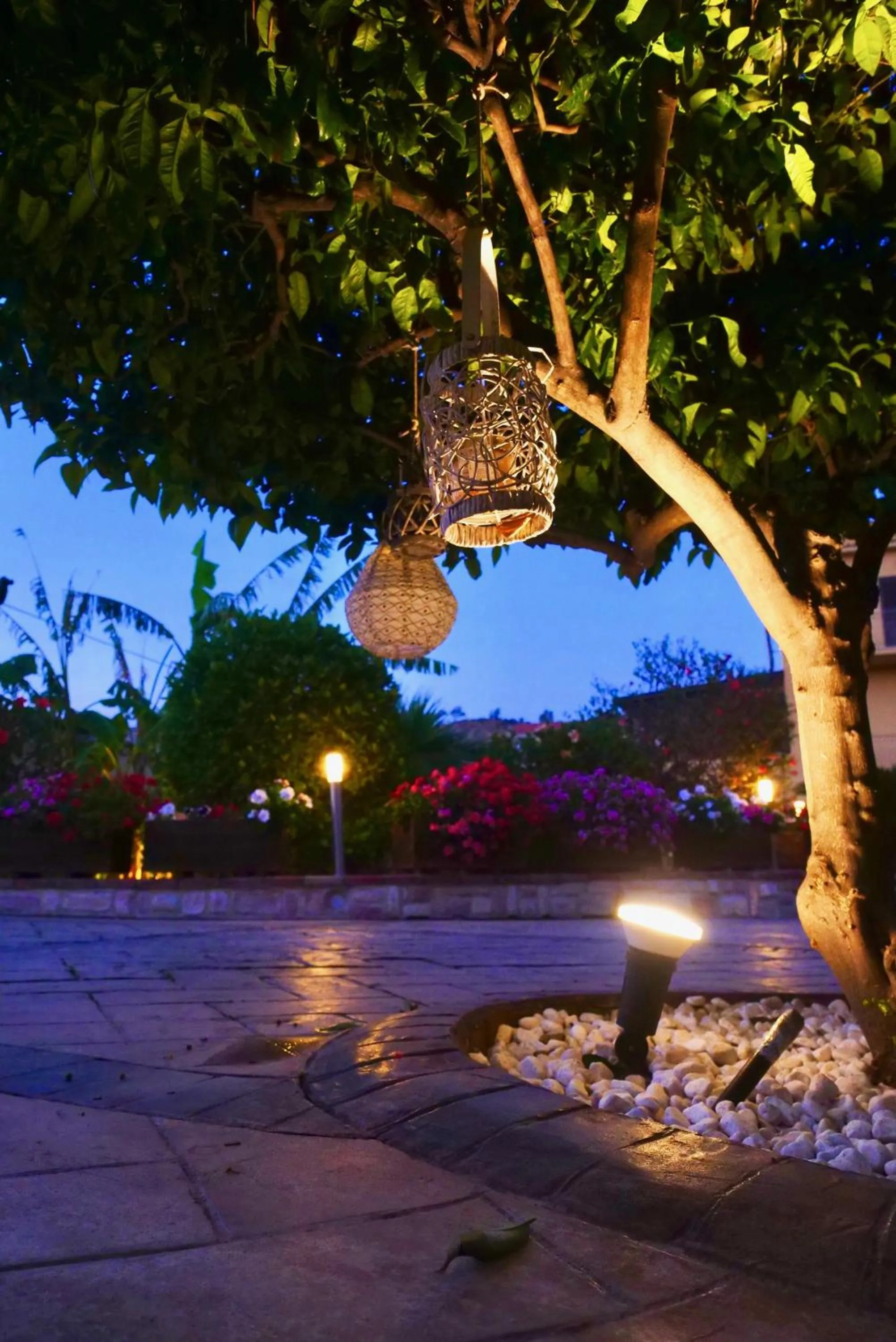 Garden in B&B Templi e Arte