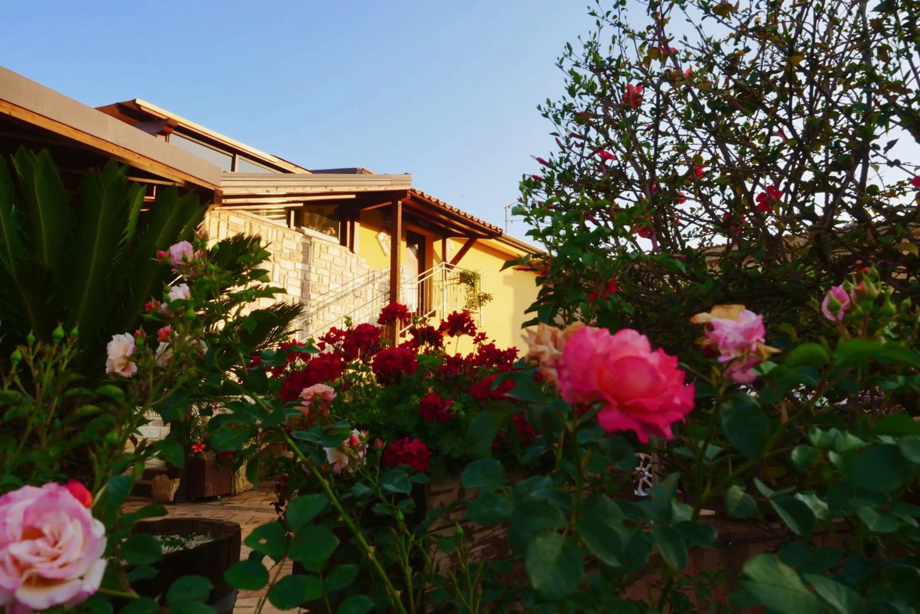 Garden in B&B Templi e Arte