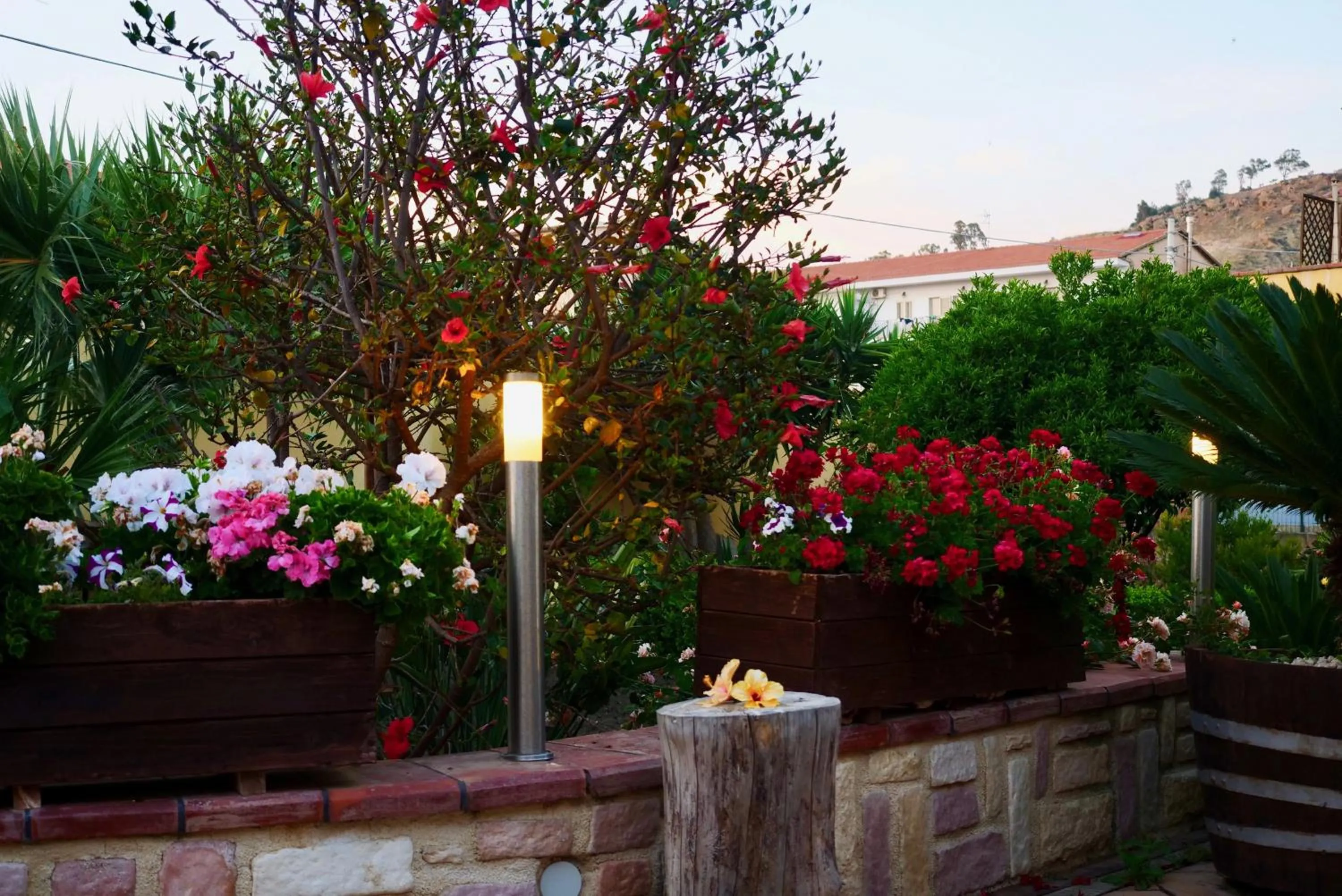 Garden in B&B Templi e Arte