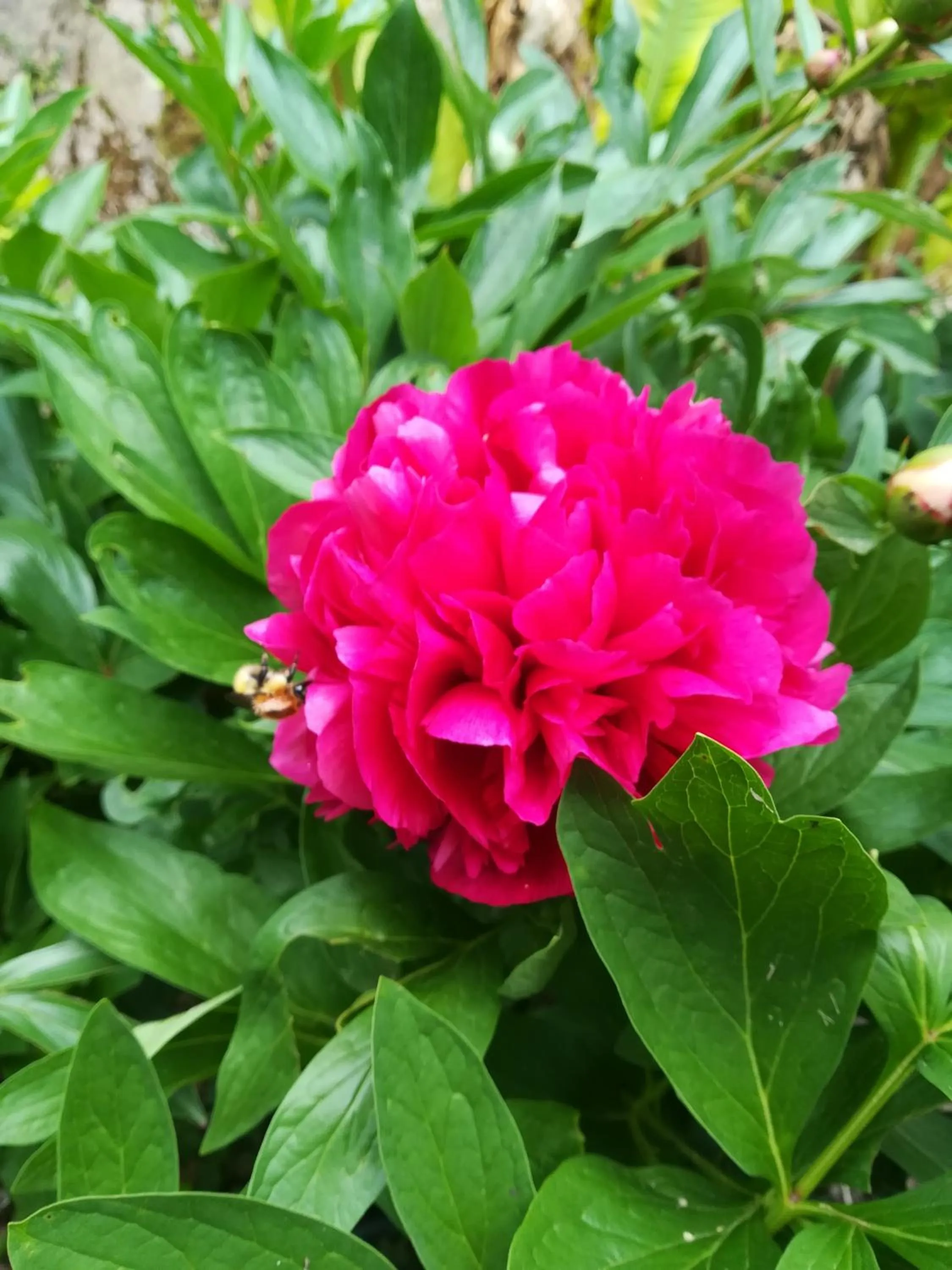 Spring in Moulin Pont Vieux Chambres d'hôtes