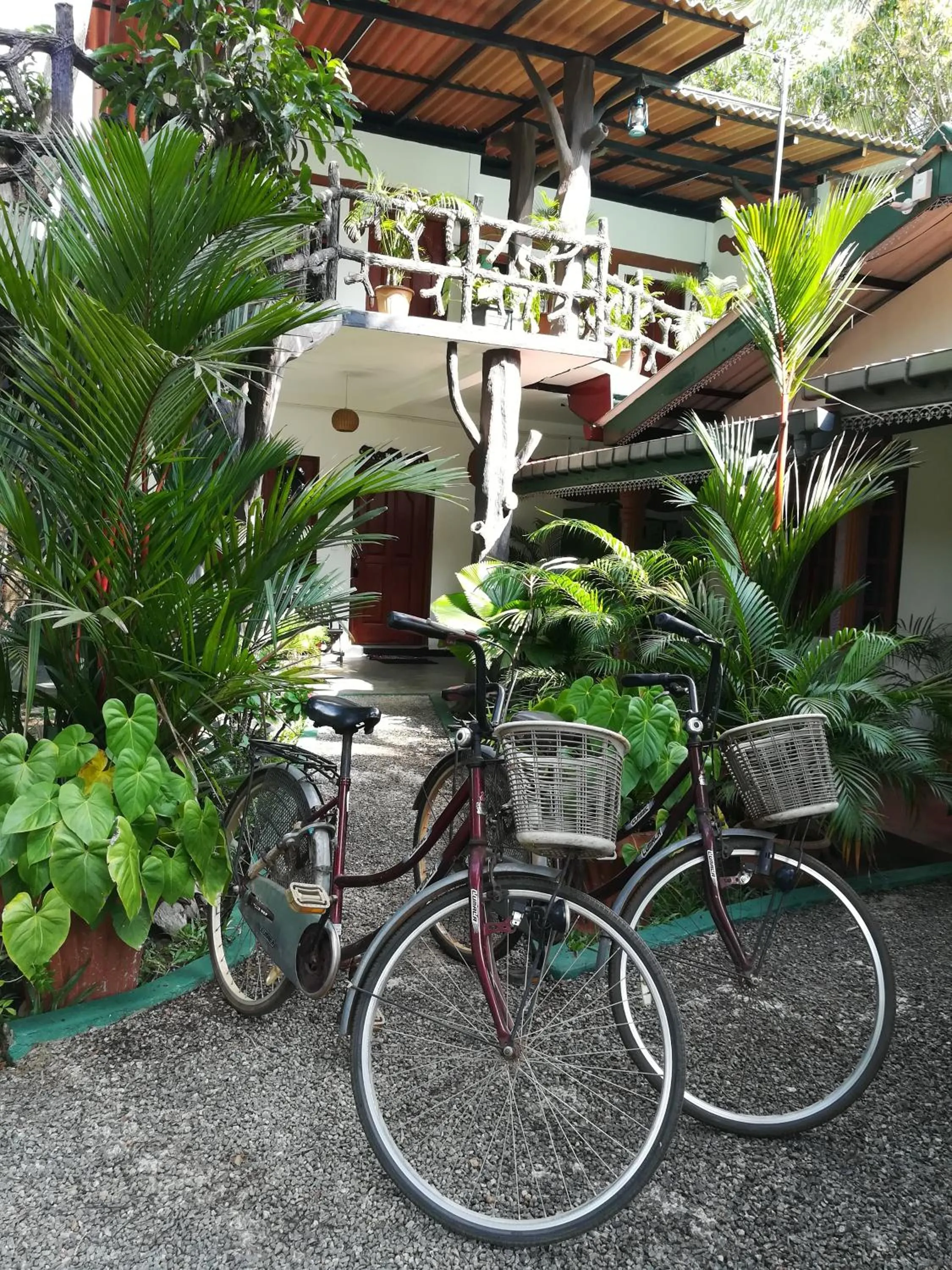 Fishing in The Nature Park Villa