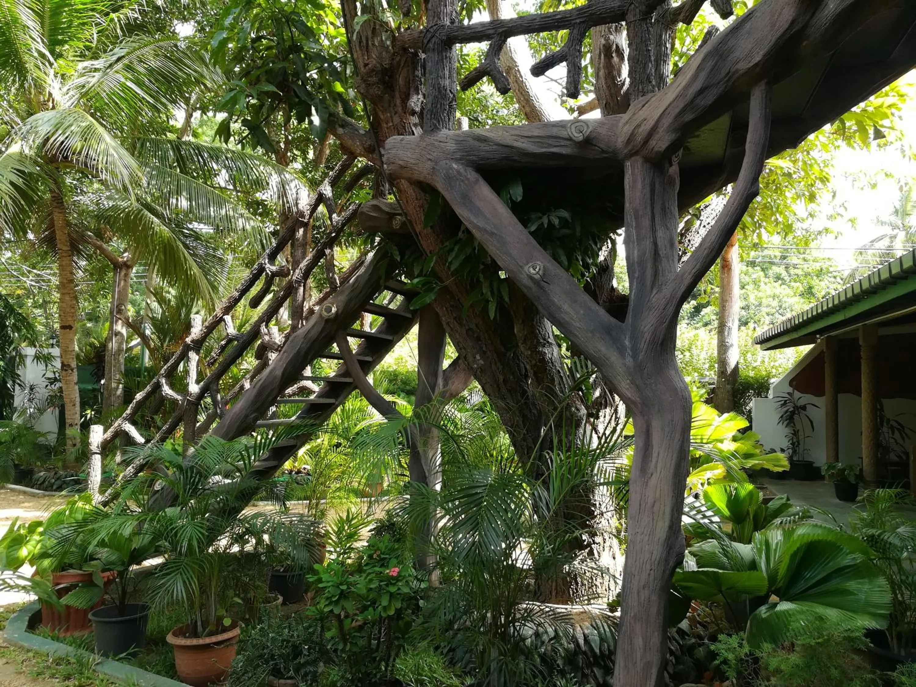 Garden view in The Nature Park Villa