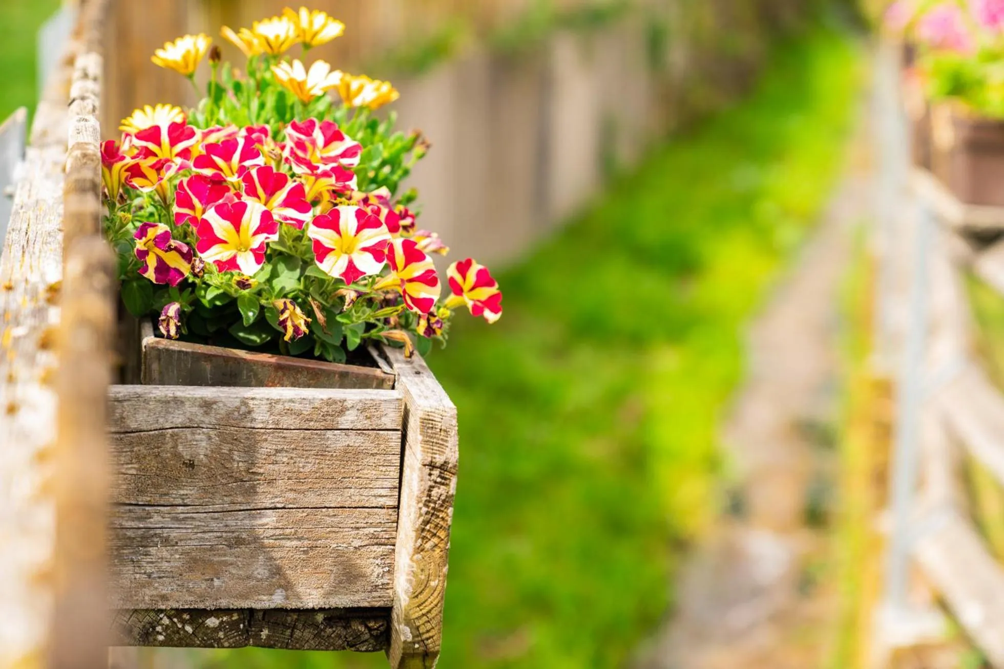 Property building in Gengs Linde