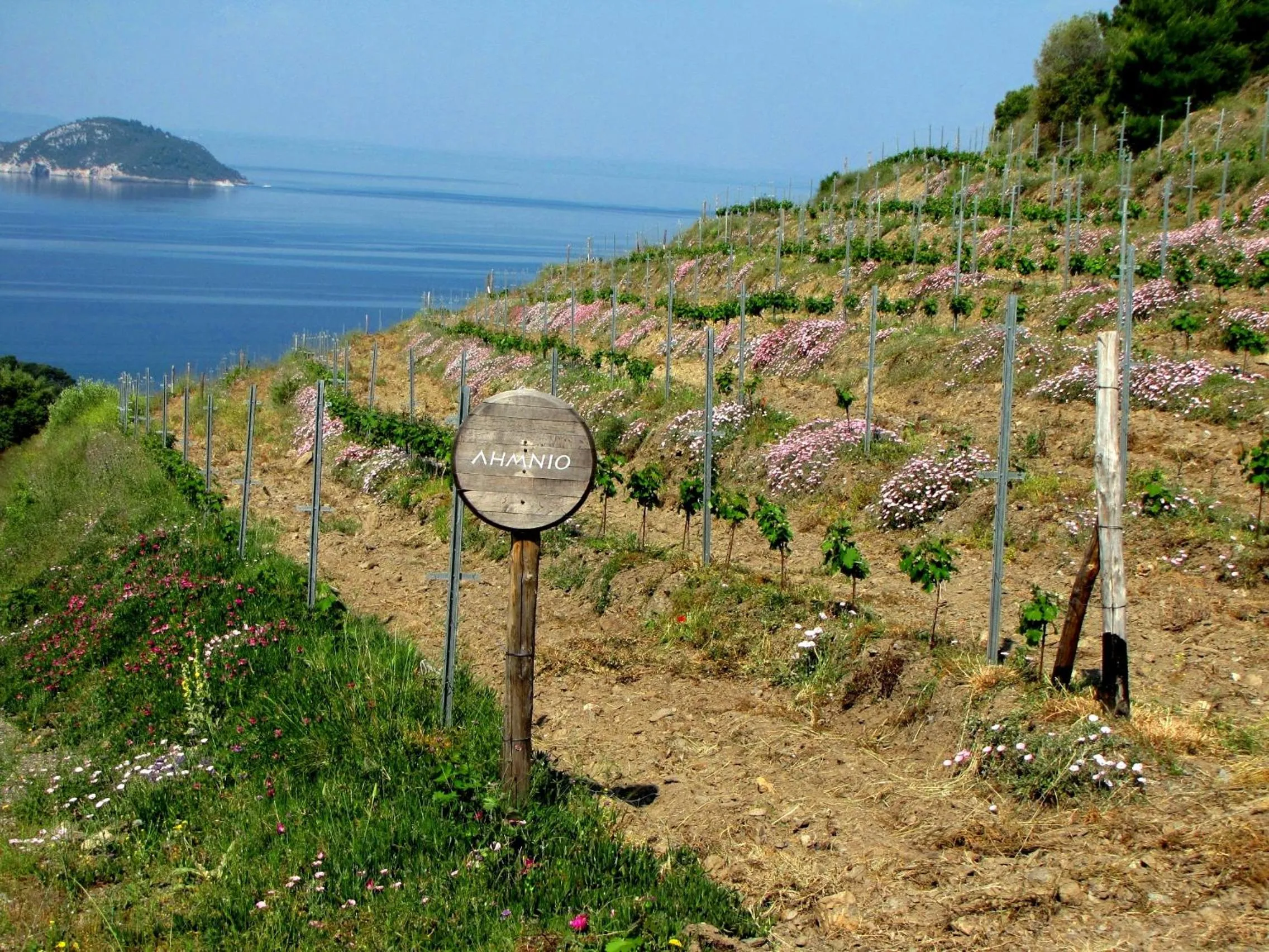 Sea view in Porto Carras Meliton
