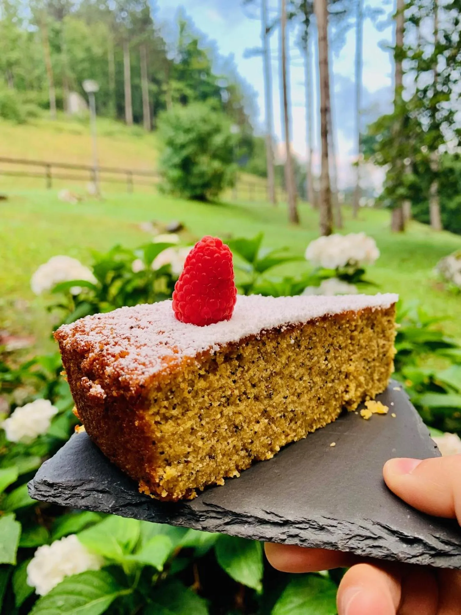 Breakfast in Garni Lago Nembia