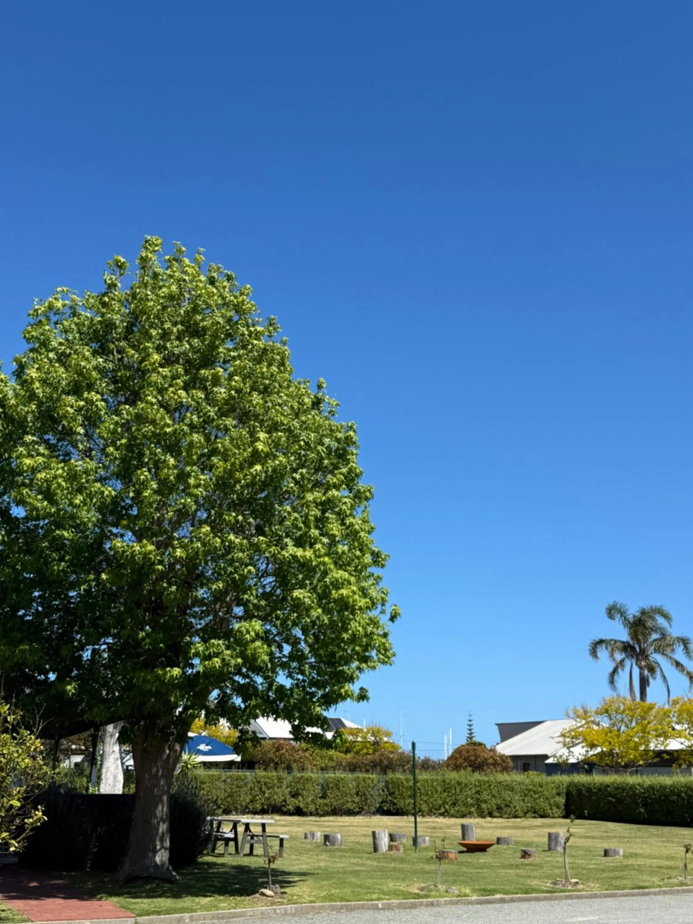 Garden view in Lakeside Motel Waterfront