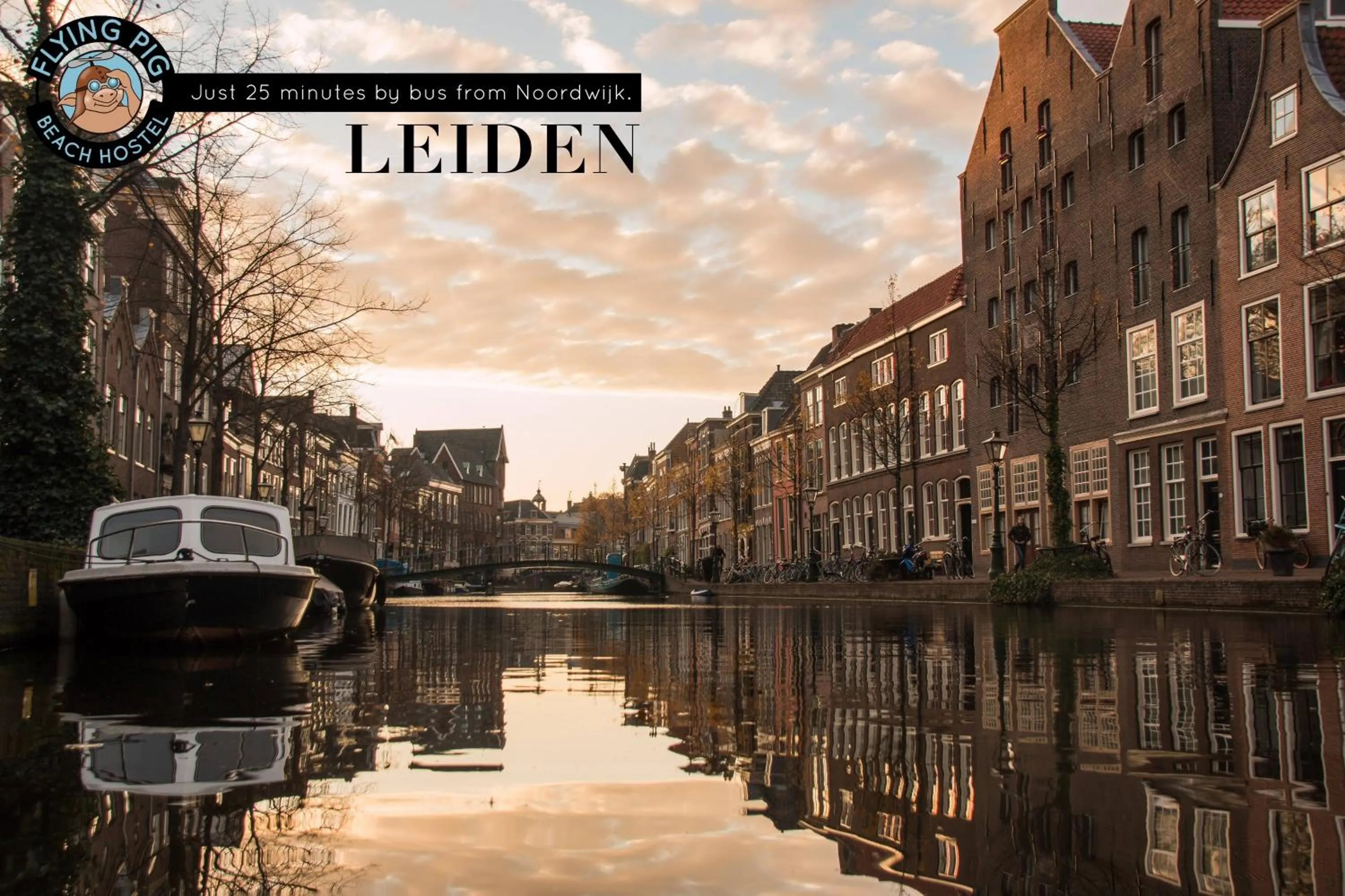 Nearby landmark in The Flying Pig Beach Hostel Age 18 to 40