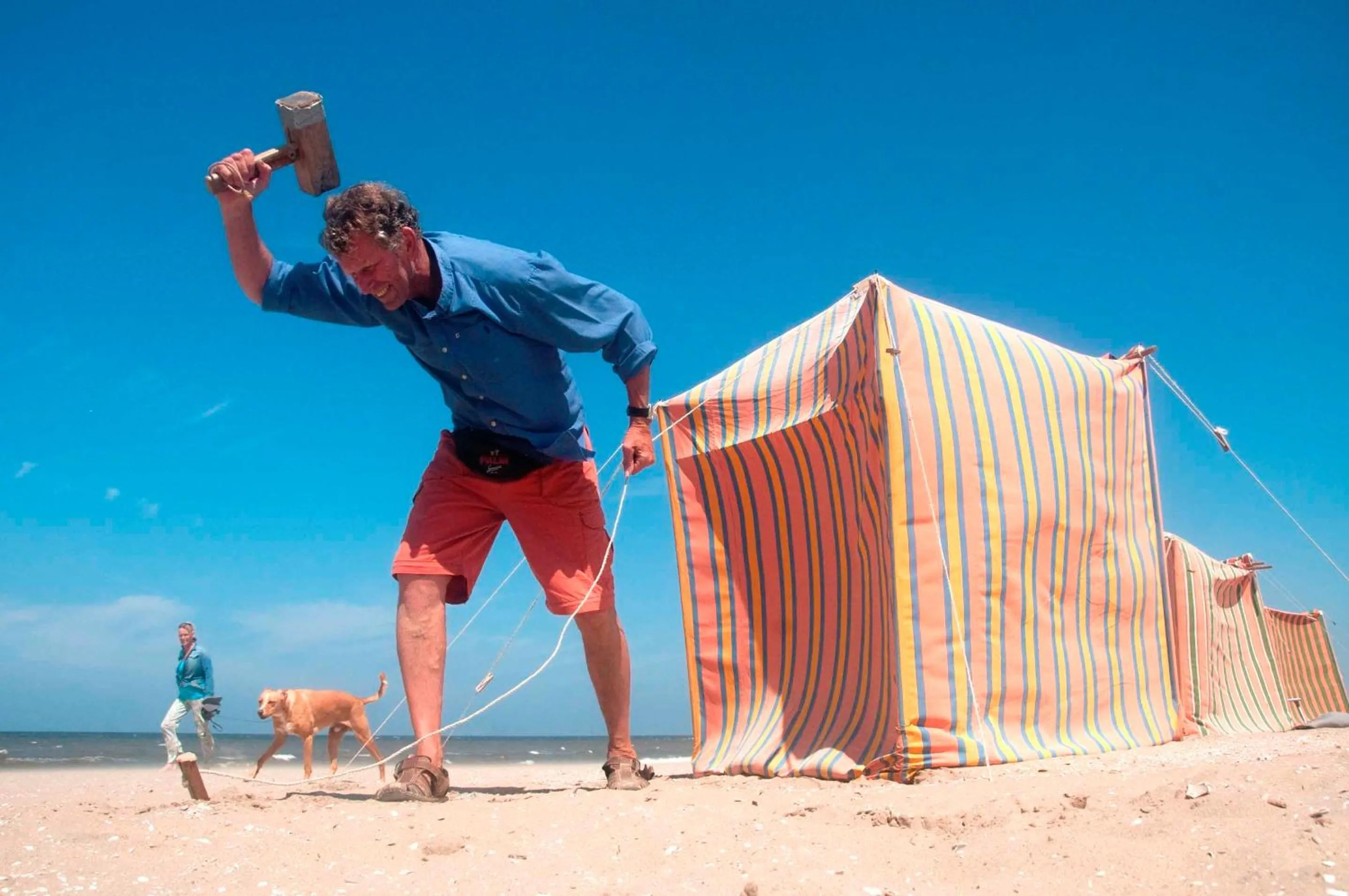 Beach in The Flying Pig Beach Hostel Age 18 to 40