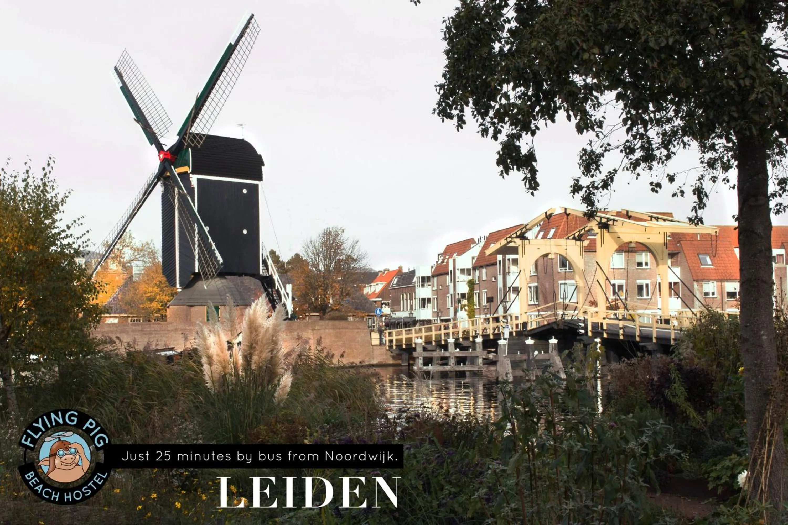 Nearby landmark in The Flying Pig Beach Hostel Age 18 to 40