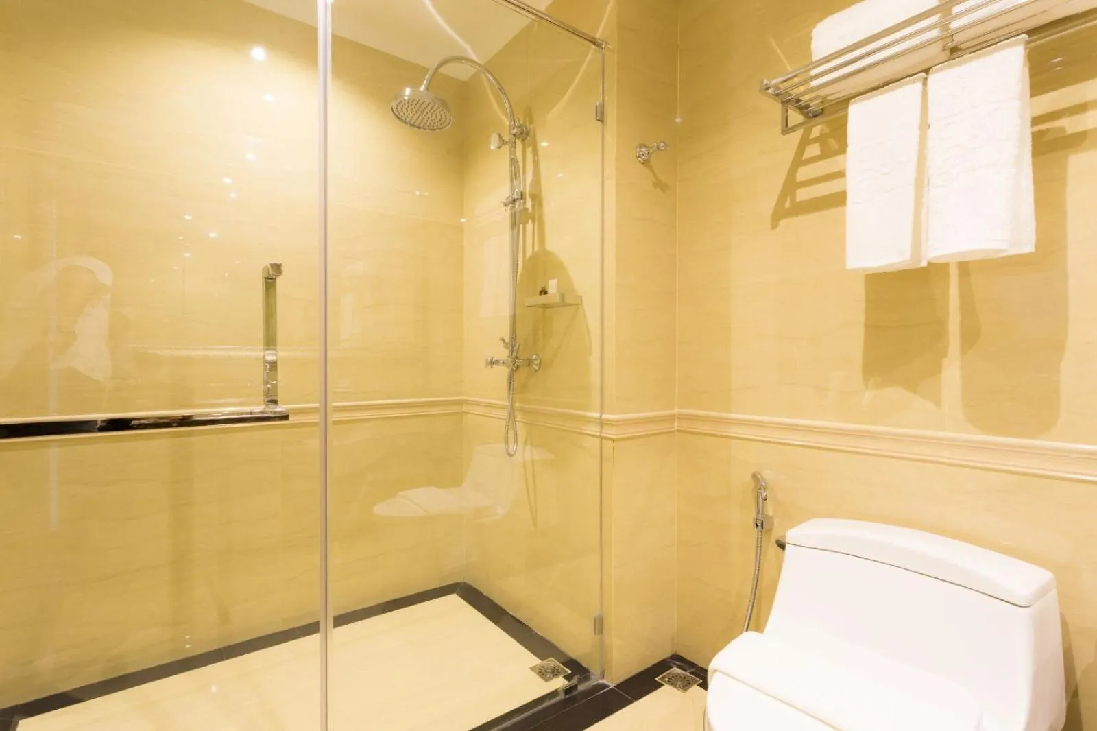 Toilet in LK President