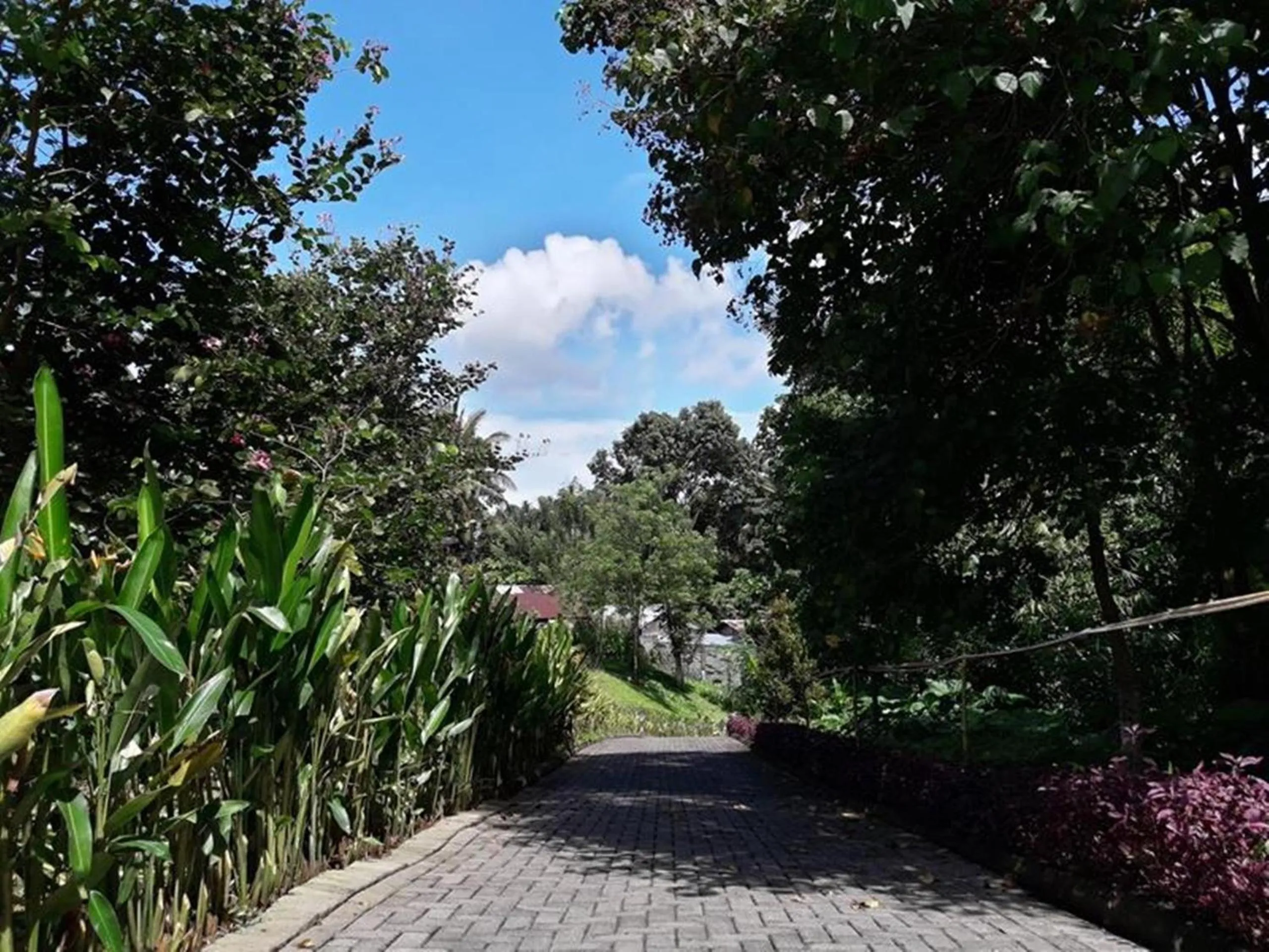 Nearby landmark in Botanica Nature Resort