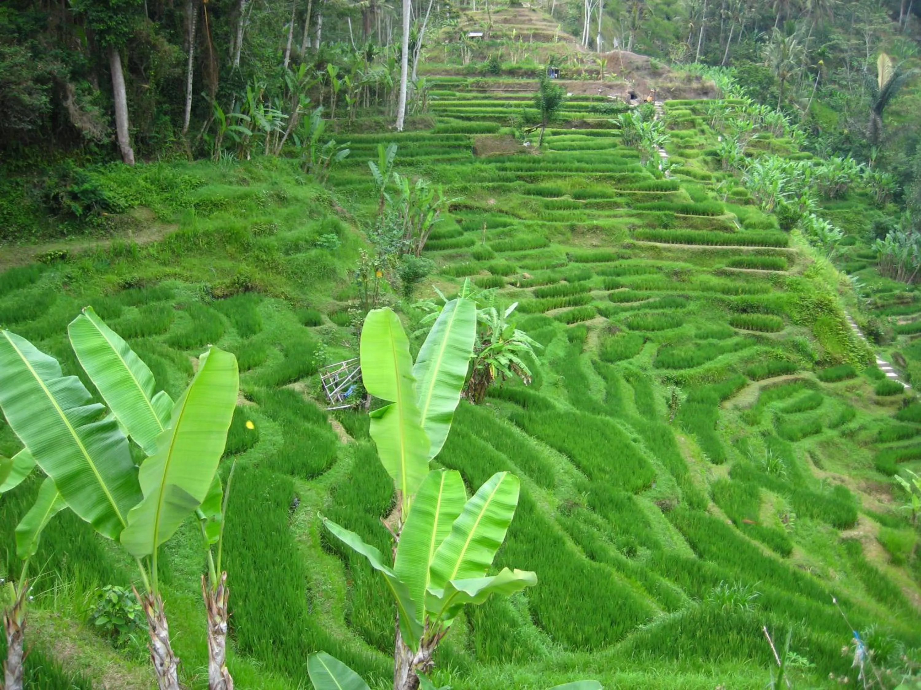 Activities in Bersila La Maison Du Bonheur