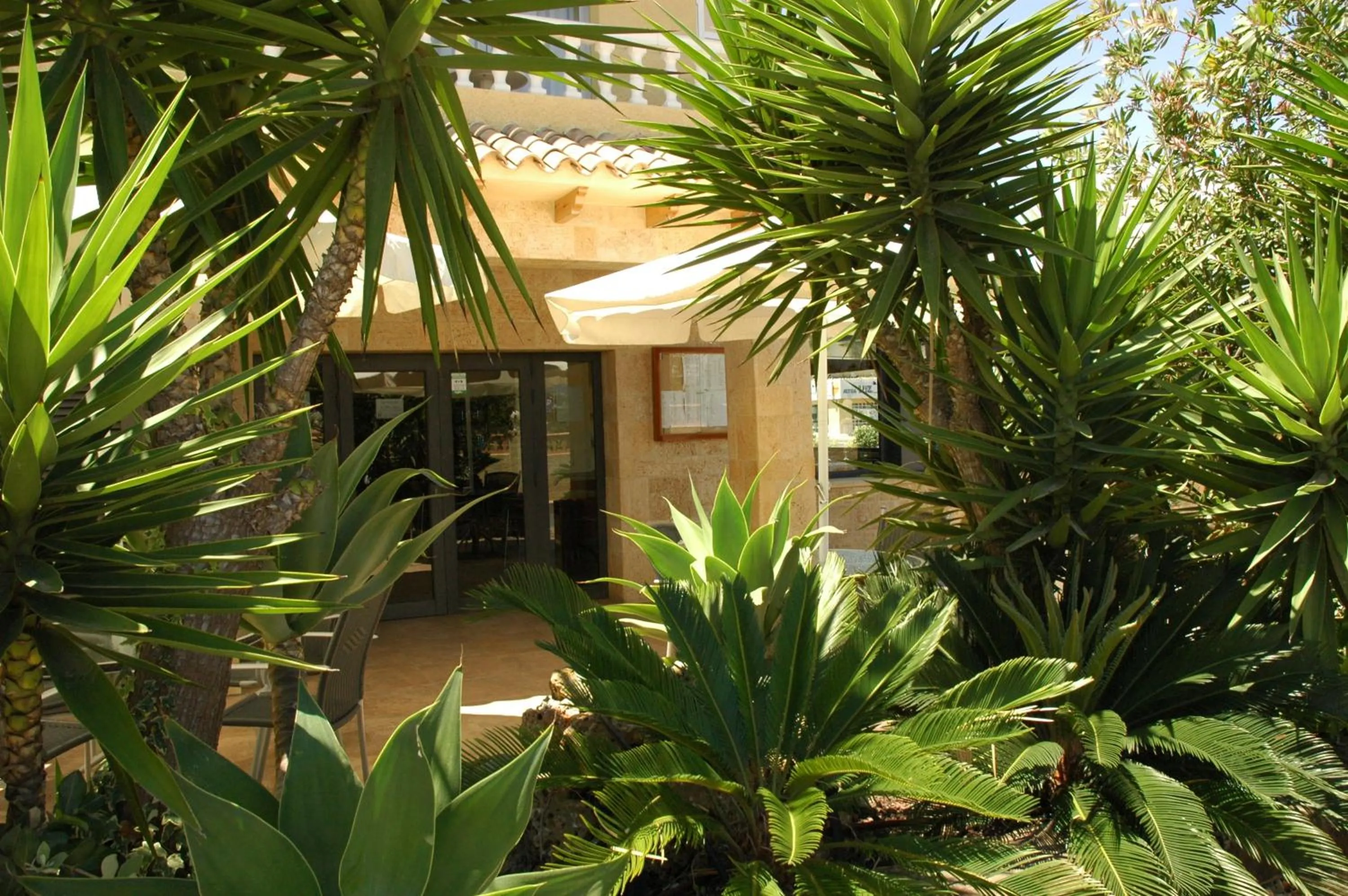 Other in Hotel Noguera El Albir