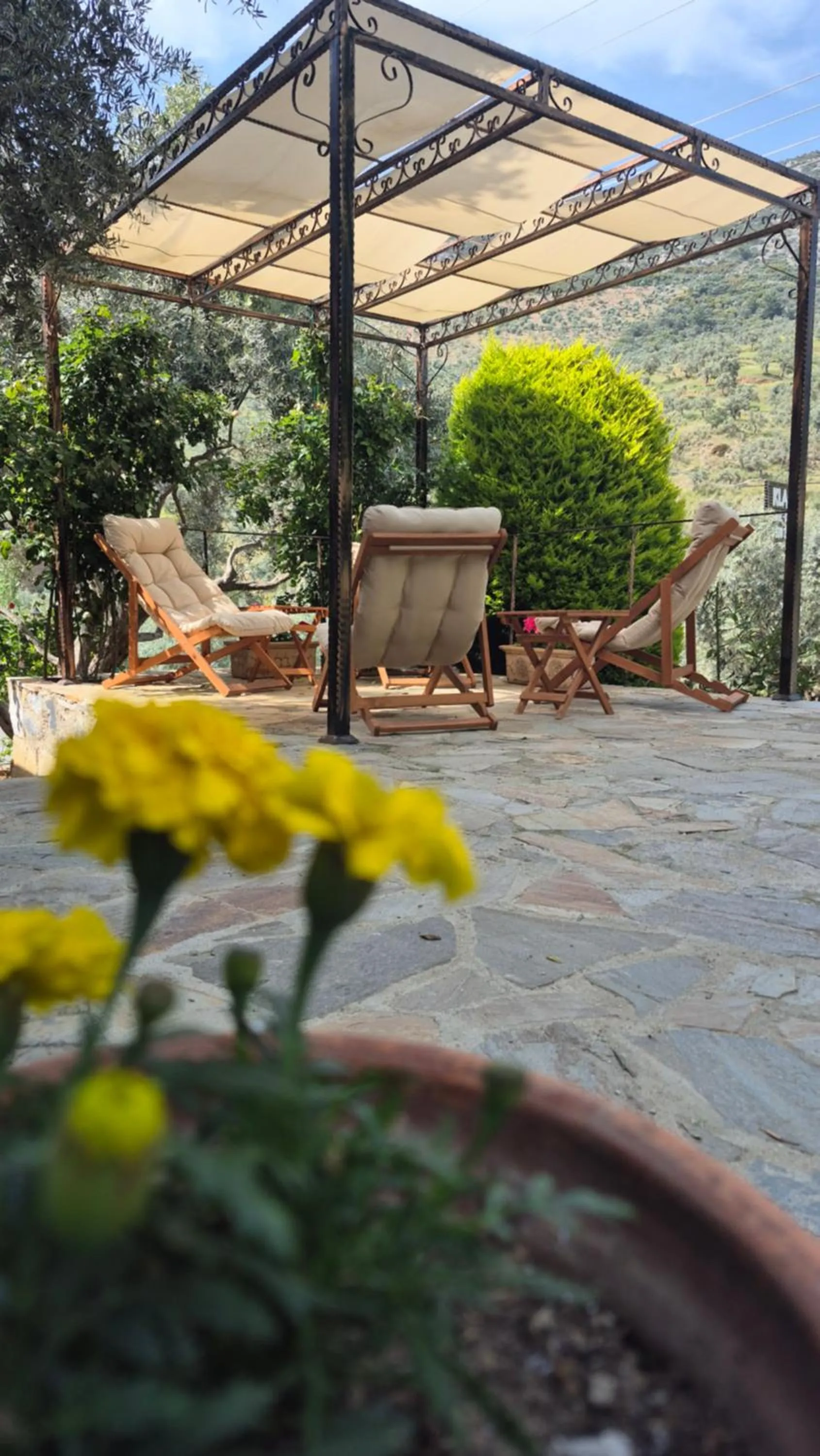 Garden in Şirince Klaseas Hotel&Restaurant