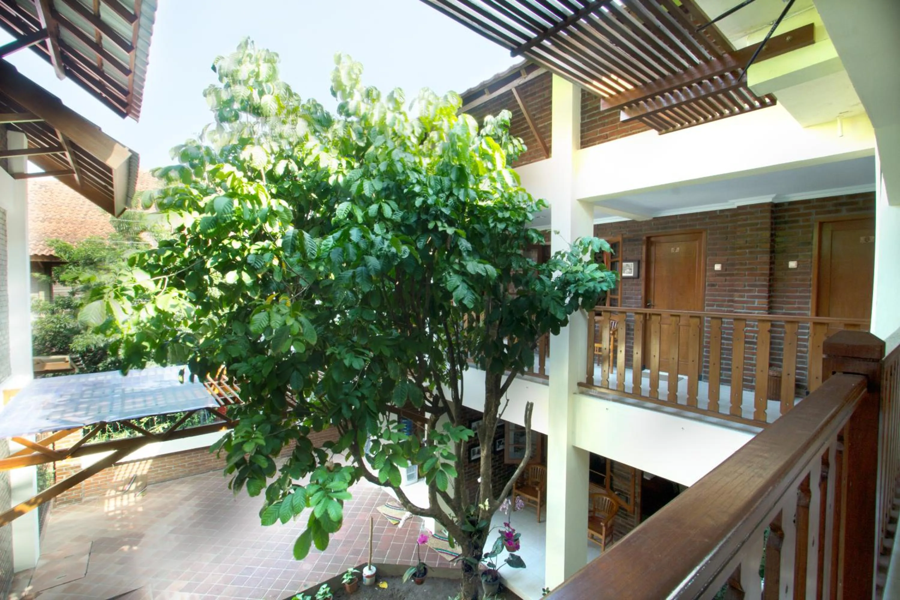 Garden in De Hostel Yogyakarta