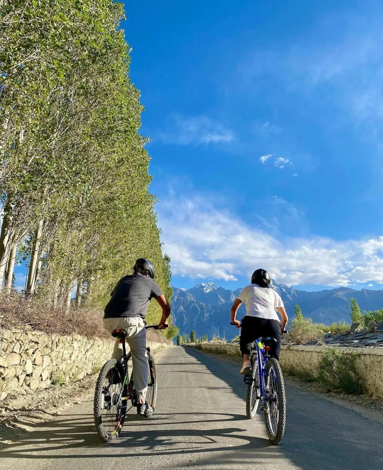 Natural landscape in Lchang Nang Retreat-THE HOUSE OF TREES-Nubra Valley