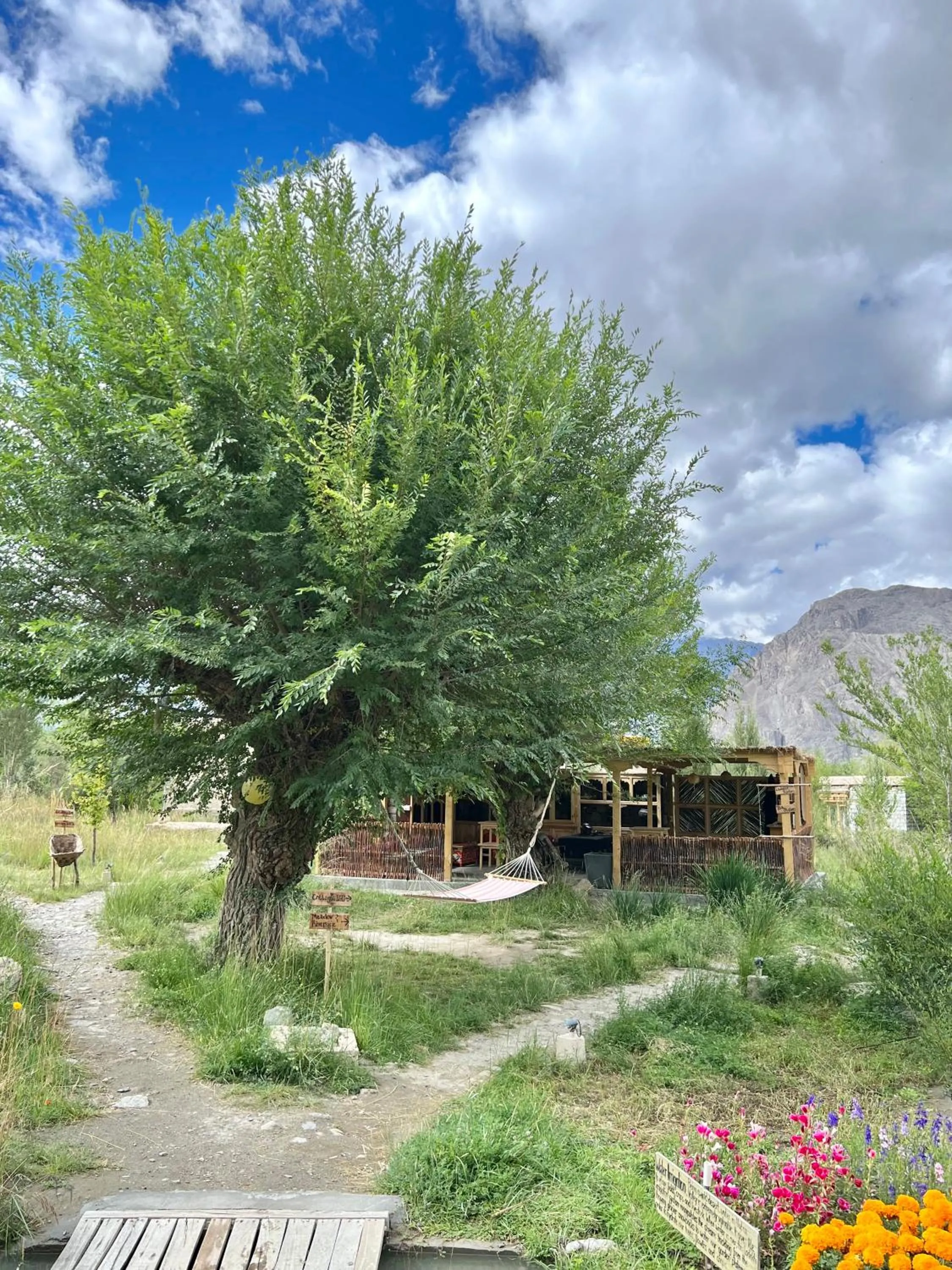 Garden view in Lchang Nang Retreat-THE HOUSE OF TREES-Nubra Valley