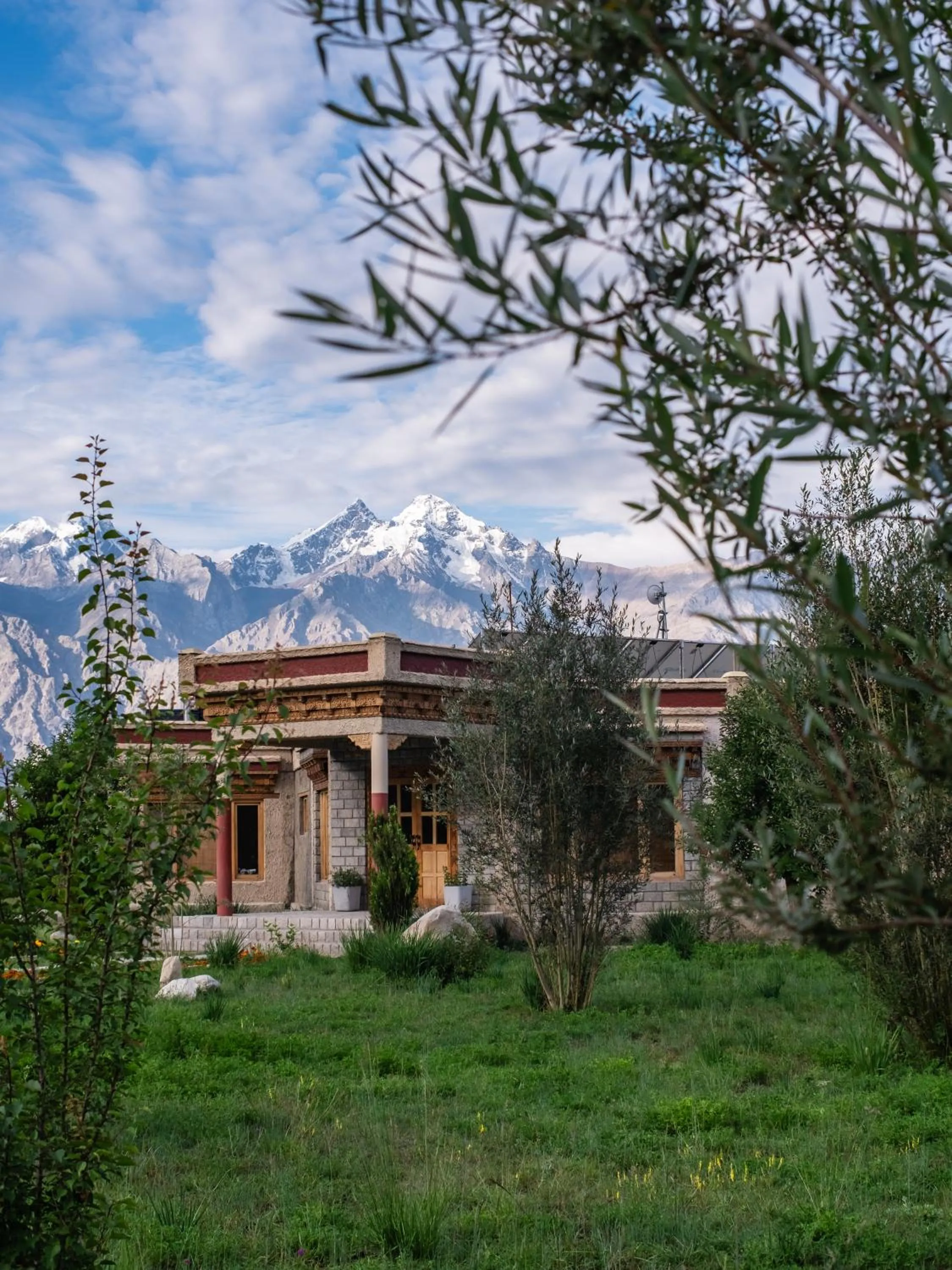 Property building in Lchang Nang Retreat-THE HOUSE OF TREES-Nubra Valley