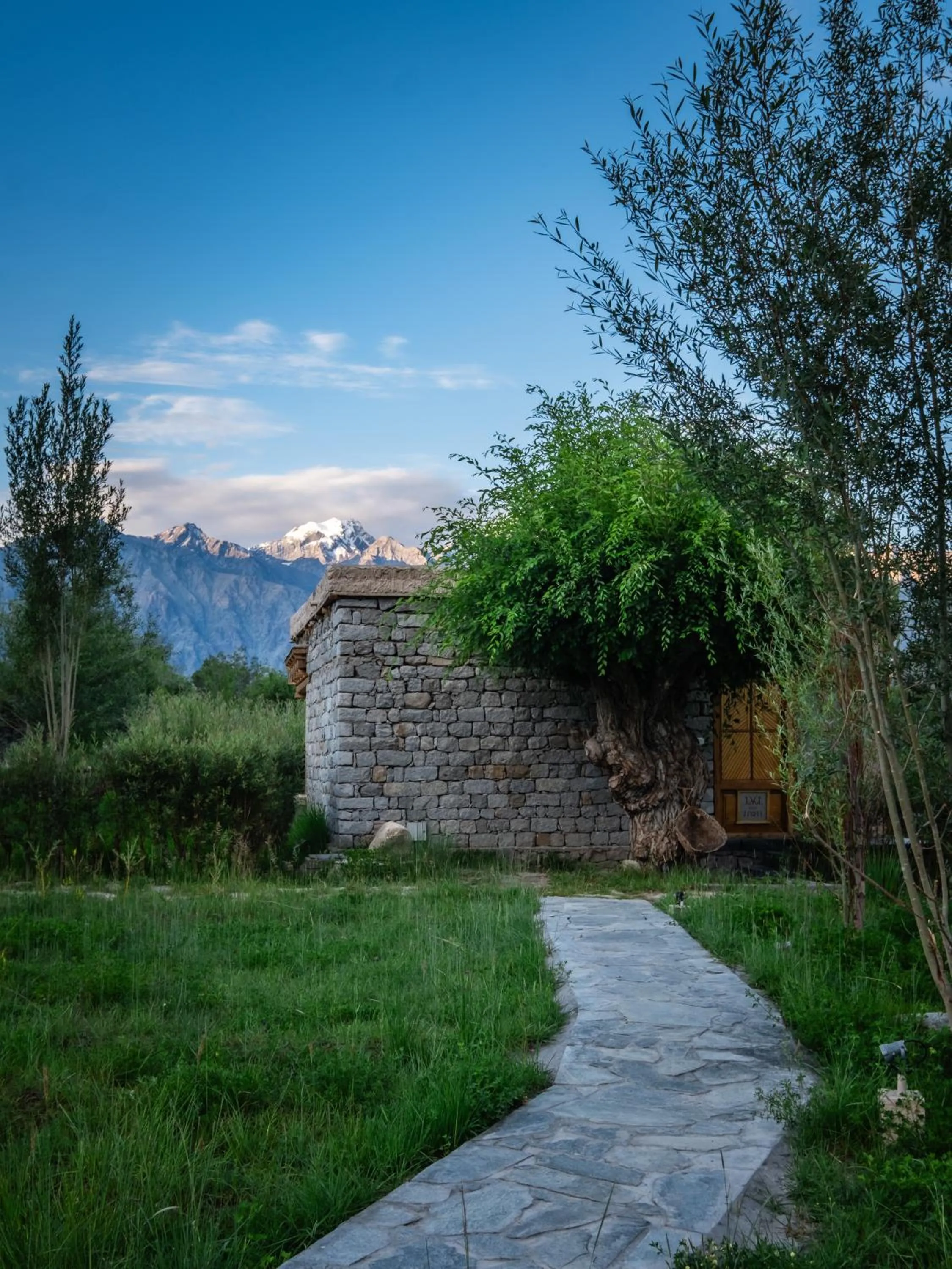 View (from property/room) in Lchang Nang Retreat-THE HOUSE OF TREES-Nubra Valley