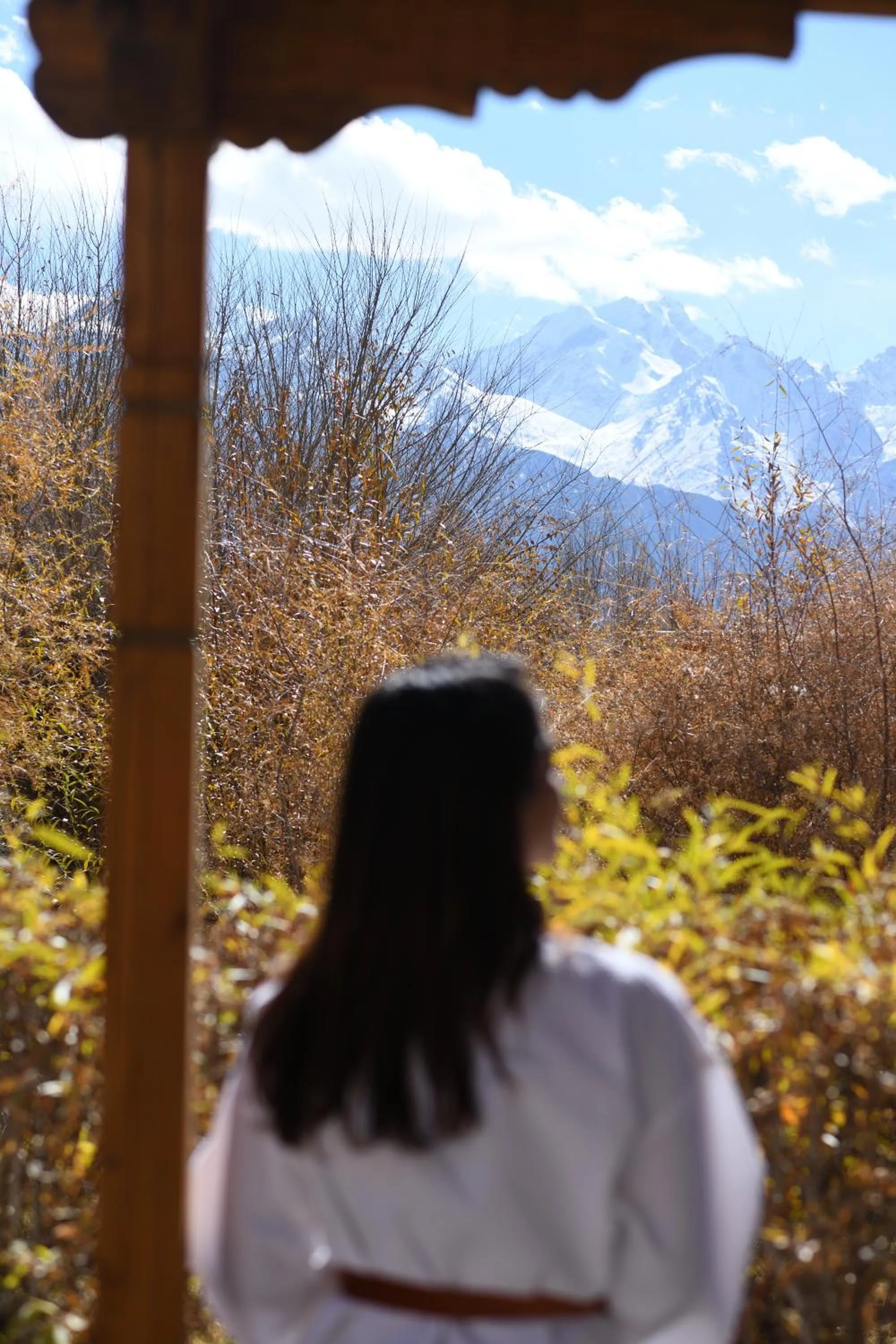 Seating area in Lchang Nang Retreat-THE HOUSE OF TREES-Nubra Valley