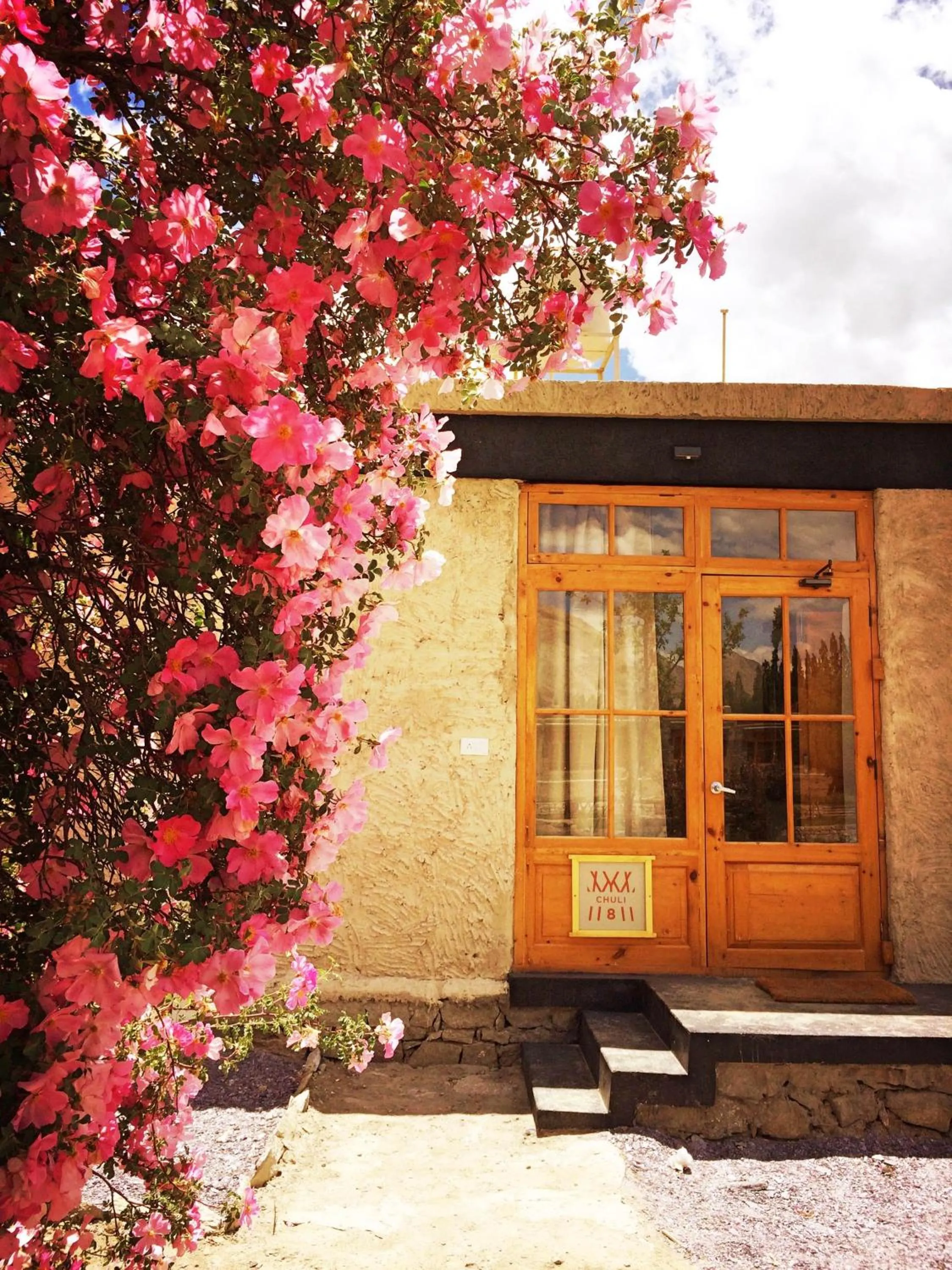 Activities in Lchang Nang Retreat-THE HOUSE OF TREES-Nubra Valley