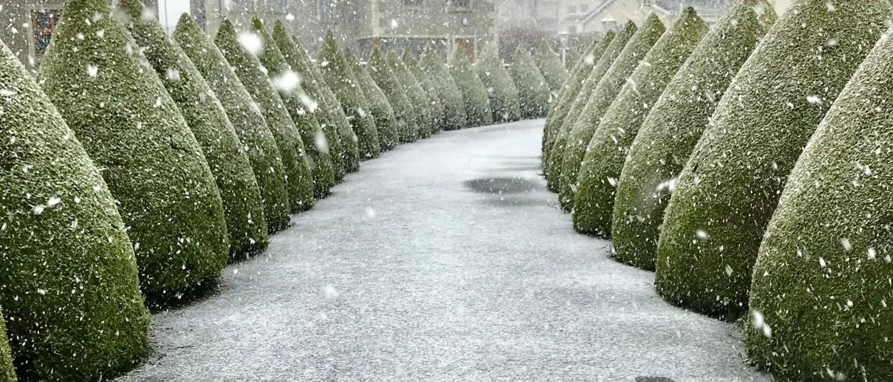 View (from property/room) in Glendale Guestrooms