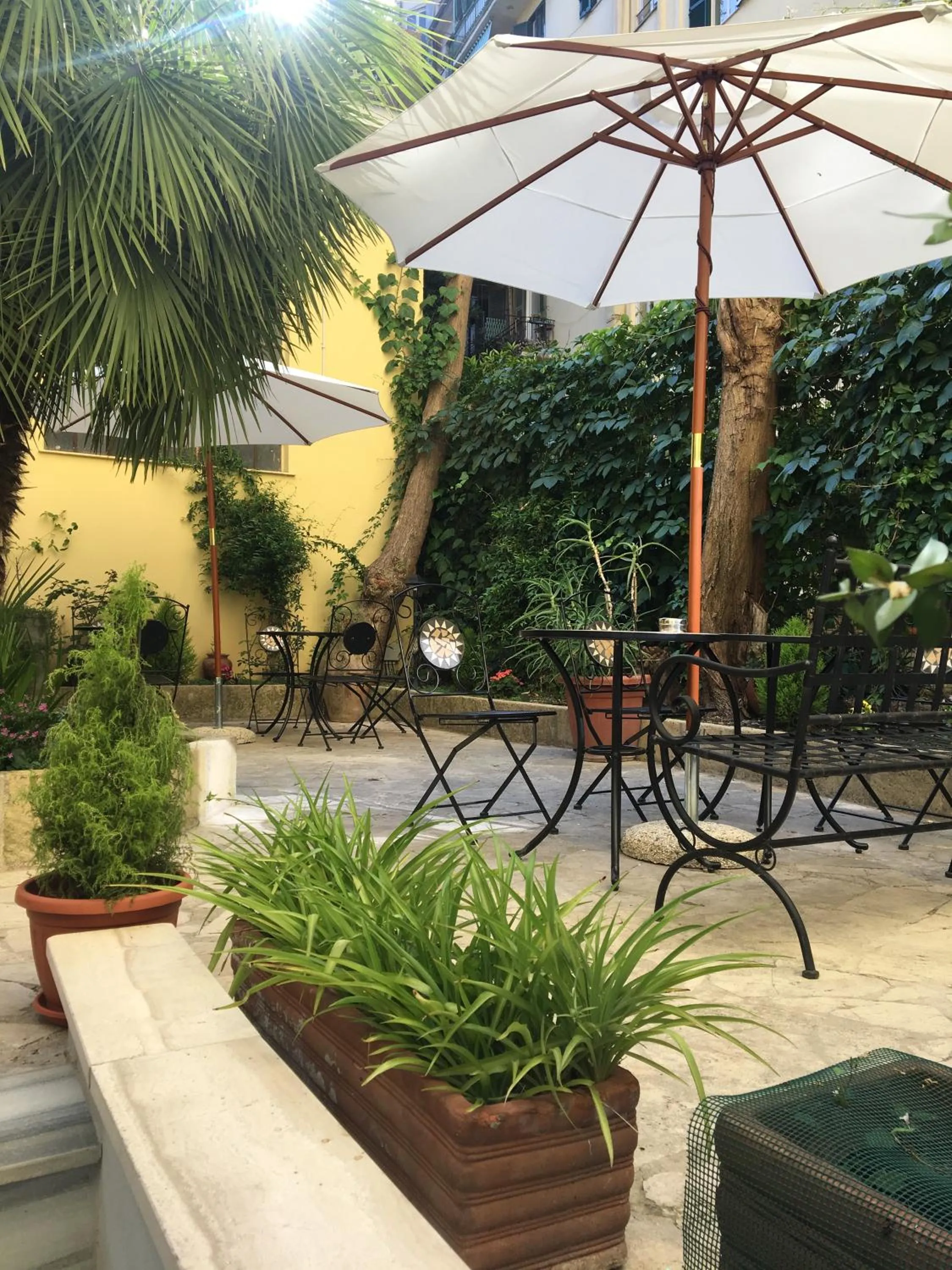 Garden in Domus Terenzio