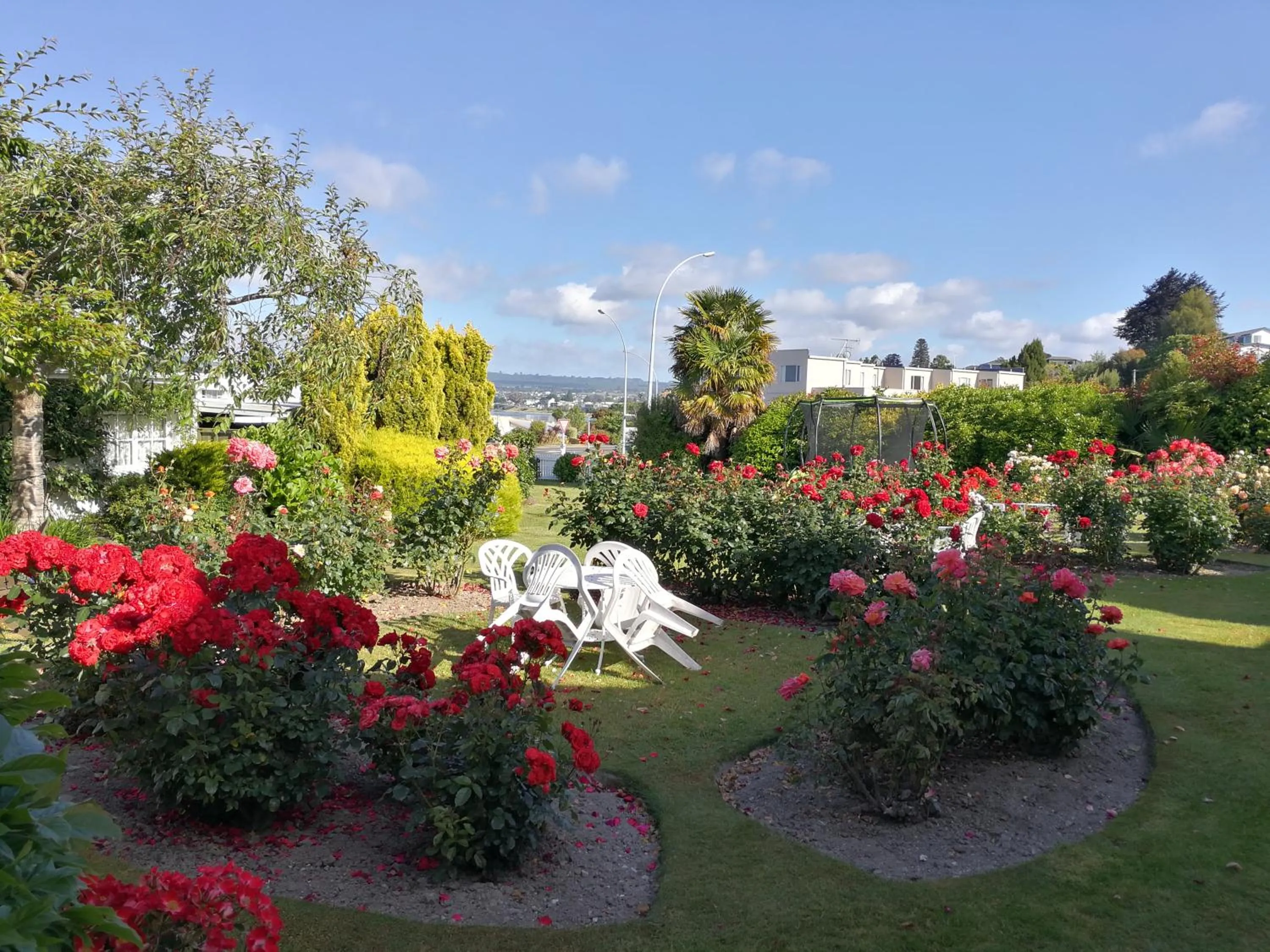 Garden in Phoenix Thermal Resort - Taupo