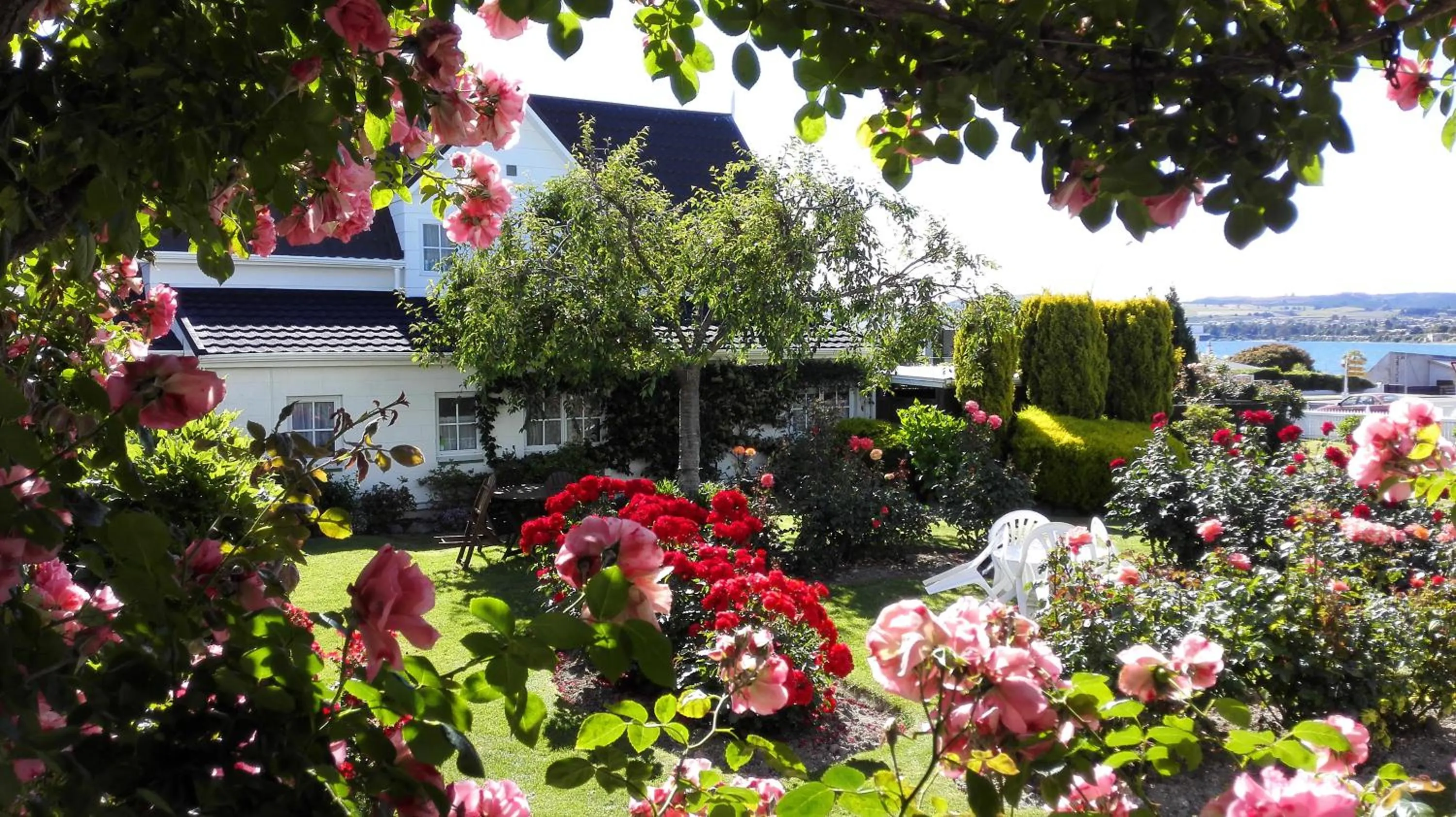 Garden in Phoenix Thermal Resort - Taupo