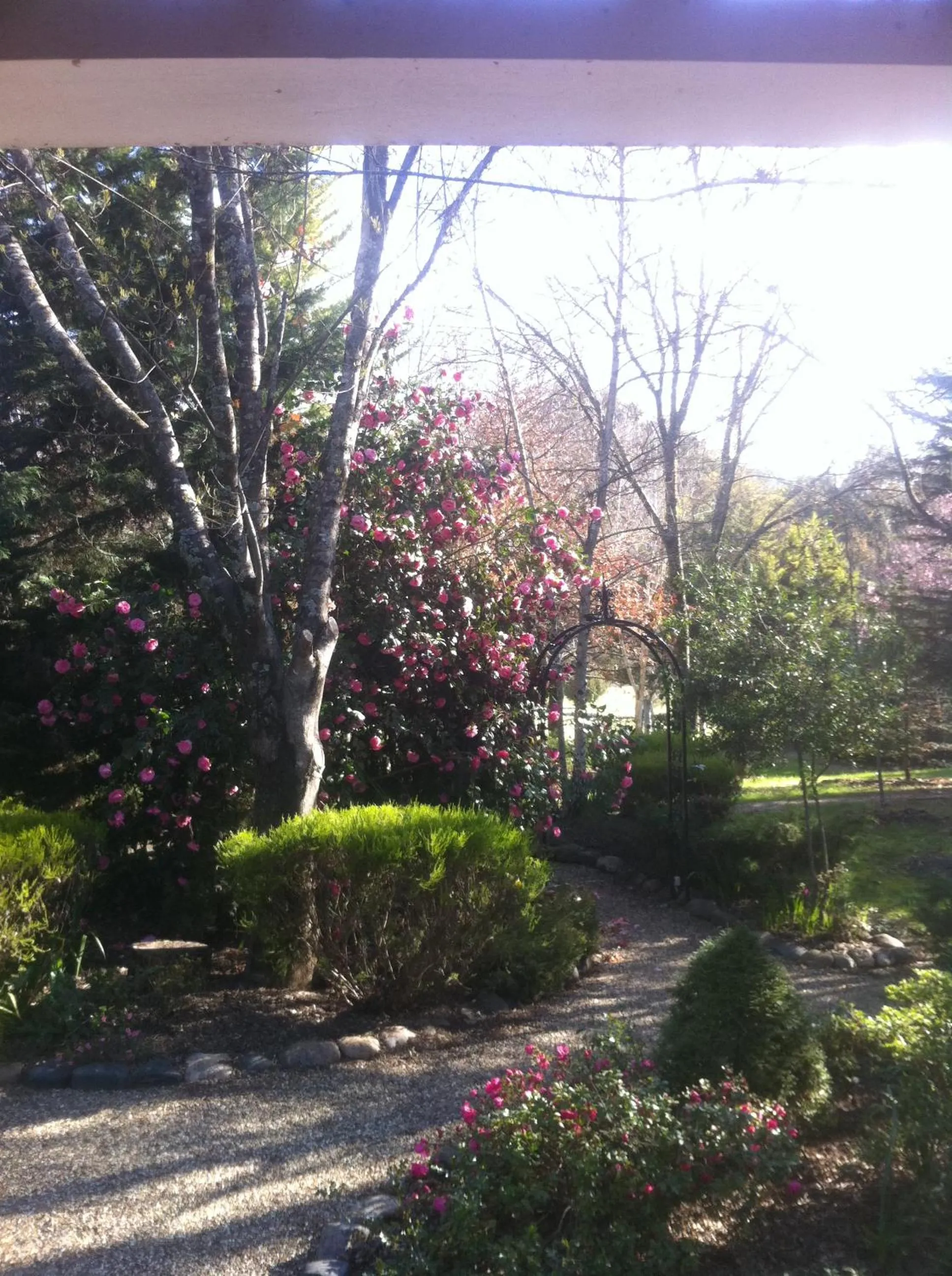 Garden in Chalets Lumineux