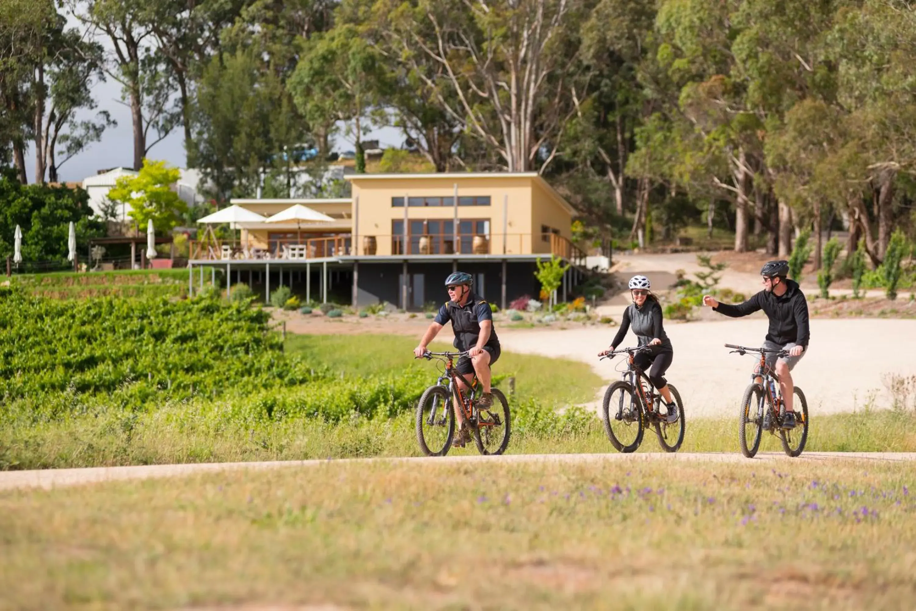 Birdwood Motel Birdwood Motel