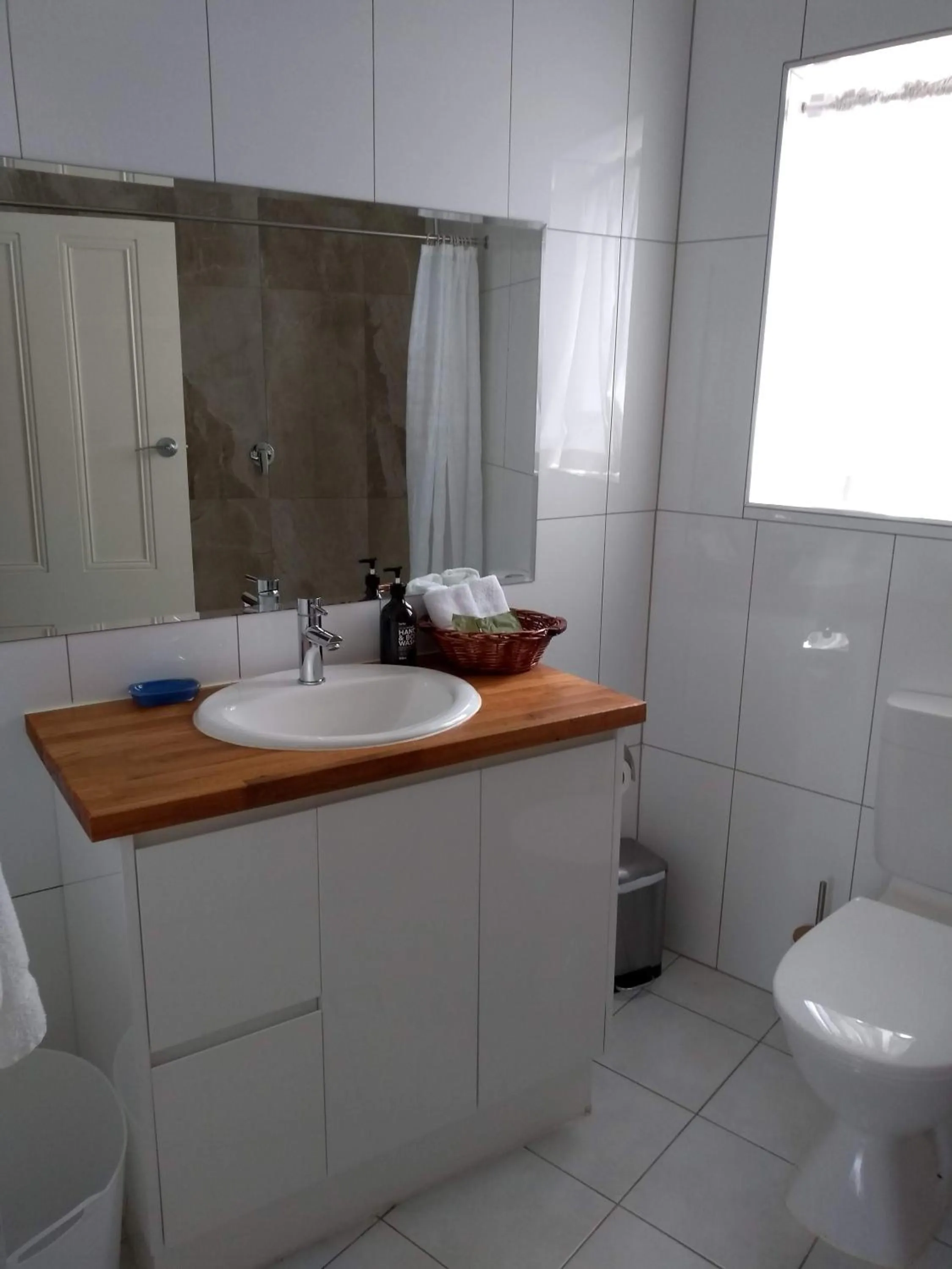 Toilet in Birdwood Motel